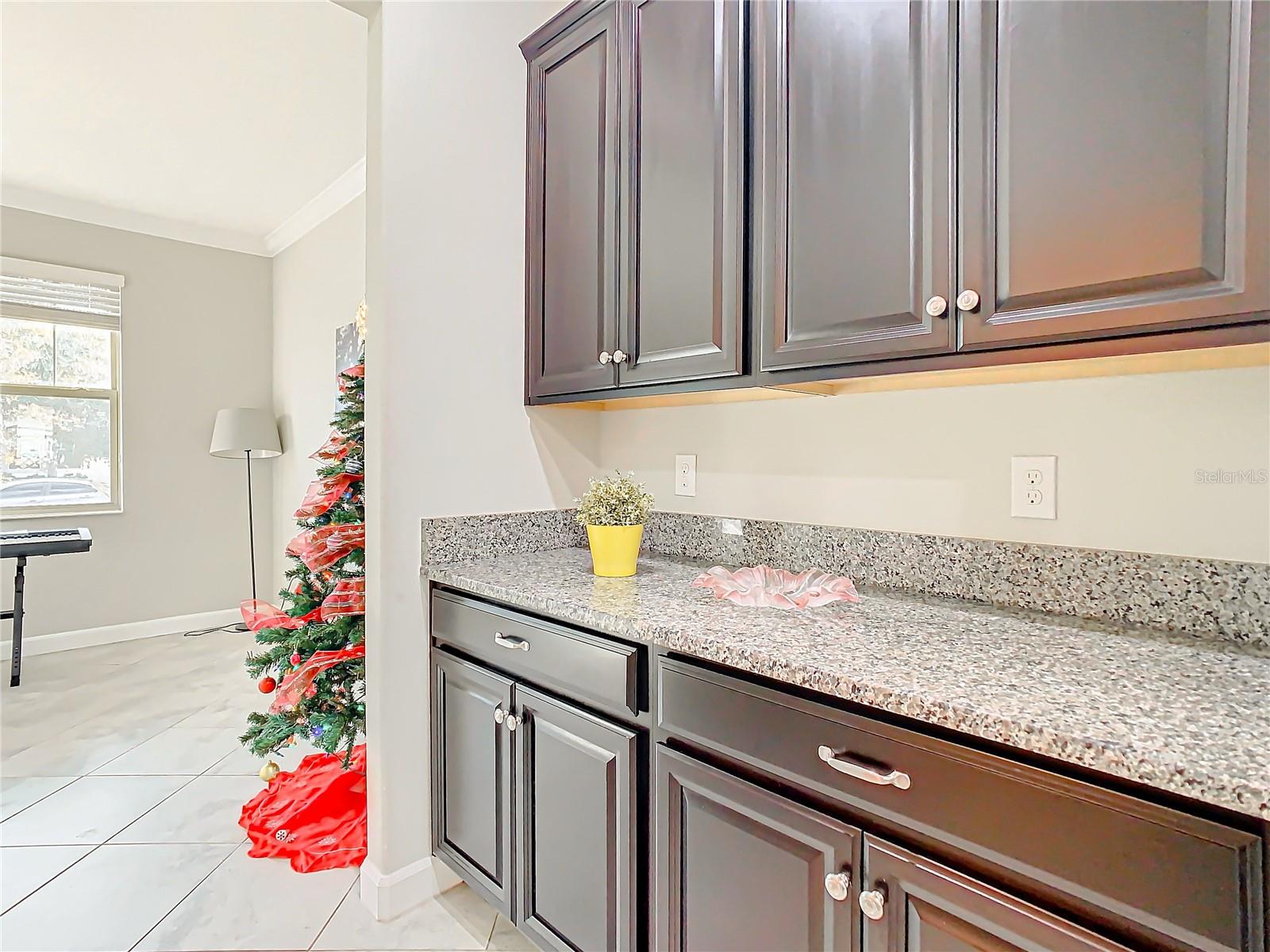 25215 LAMBRUSCO LOOP, LUTZ, FL, 33559