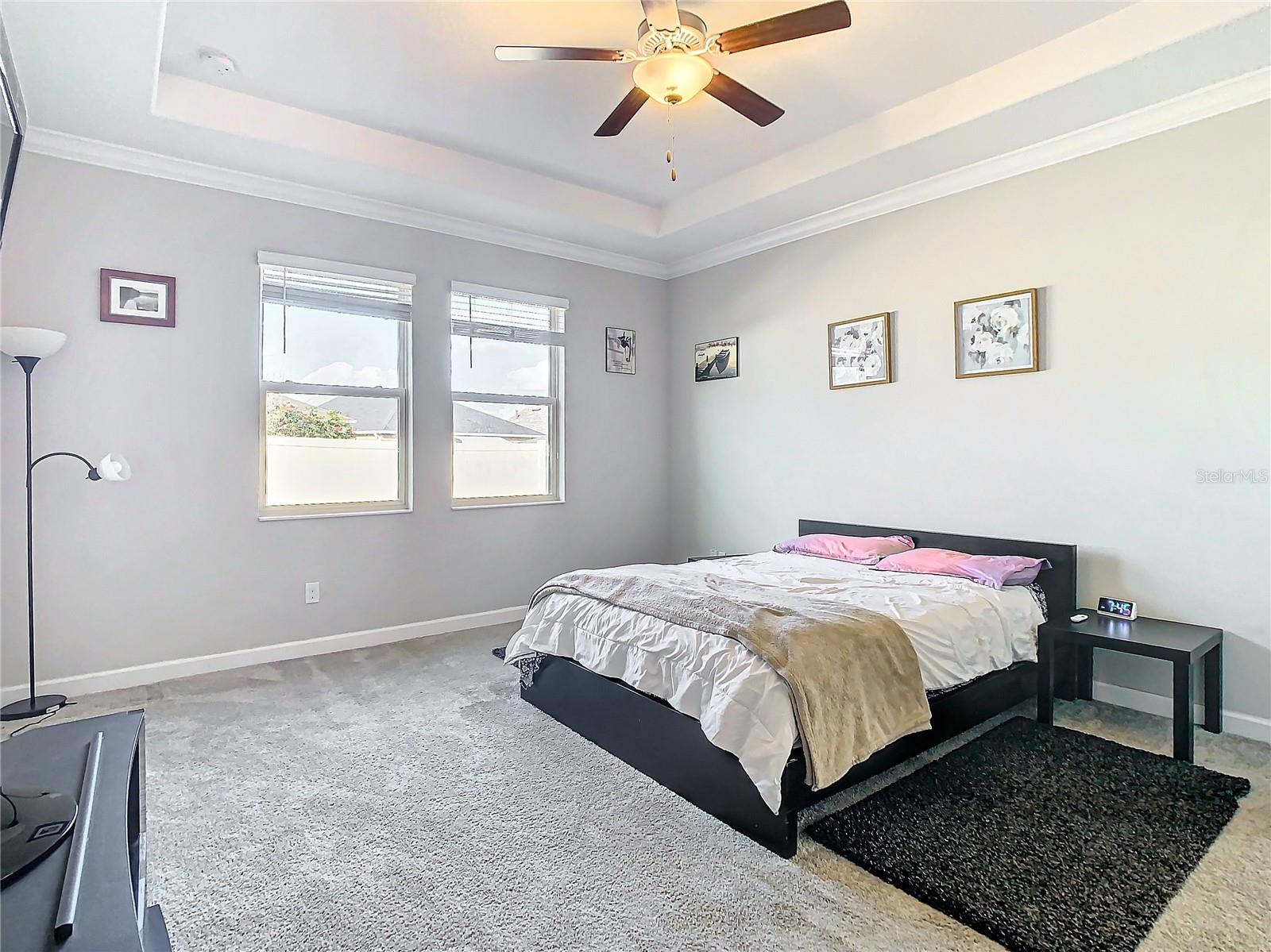 25215 LAMBRUSCO LOOP, LUTZ, FL, 33559