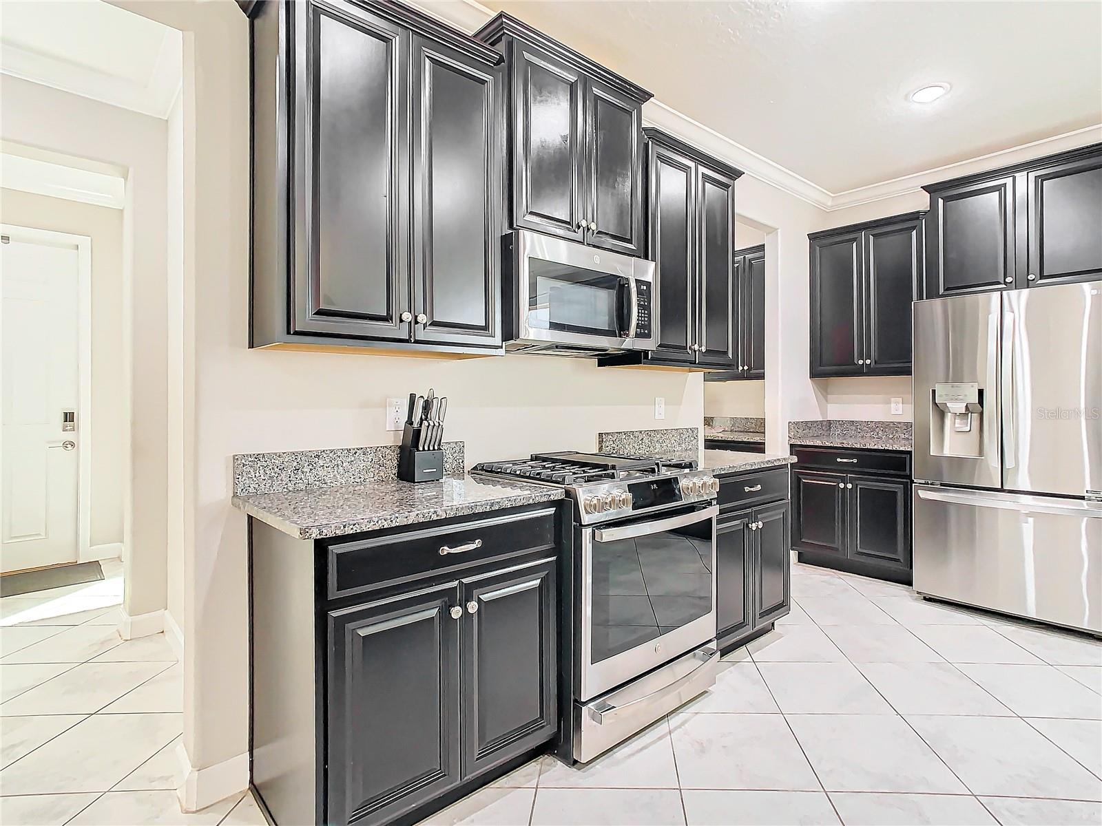 25215 LAMBRUSCO LOOP, LUTZ, FL, 33559
