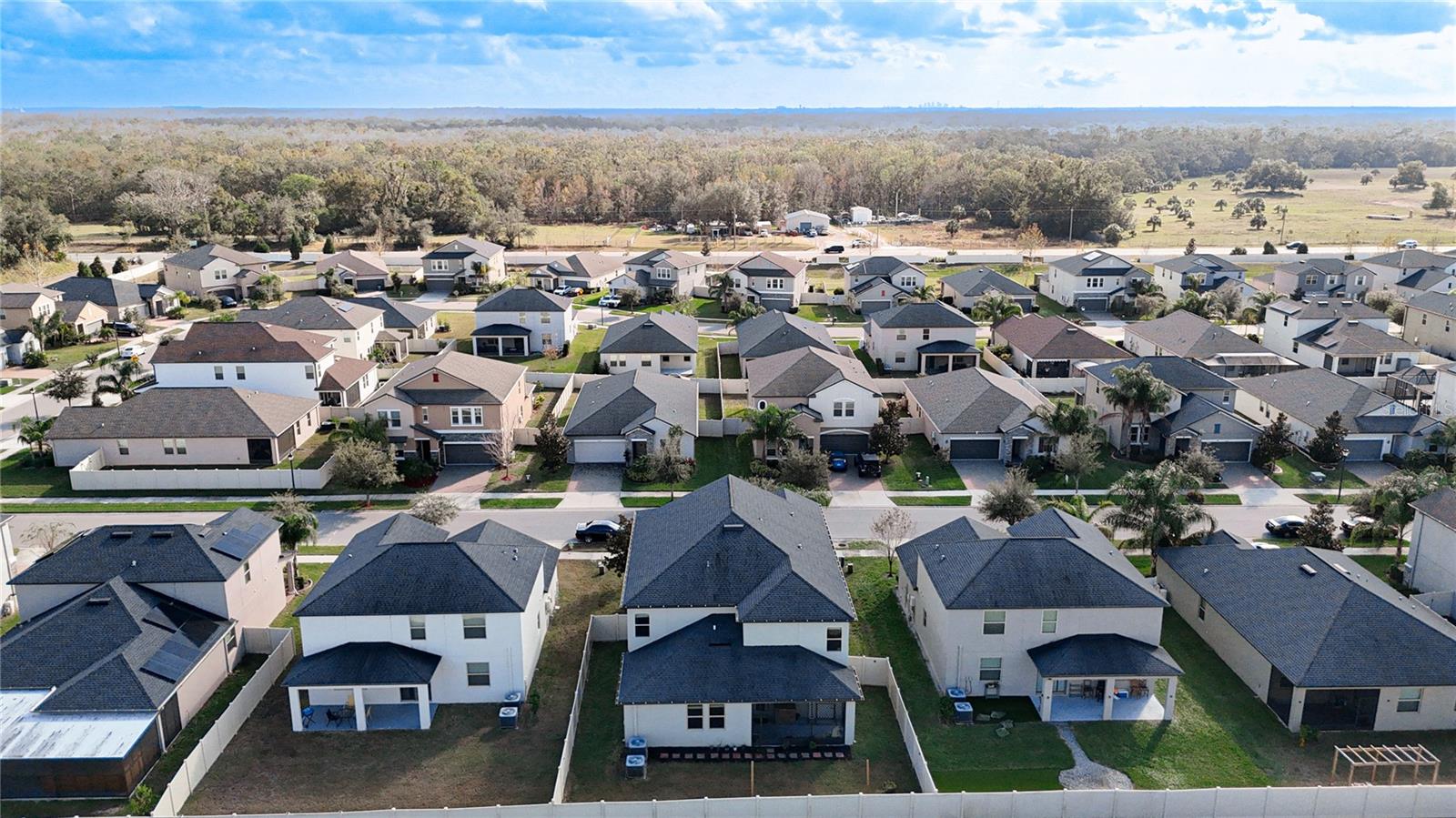 25215 LAMBRUSCO LOOP, LUTZ, FL, 33559