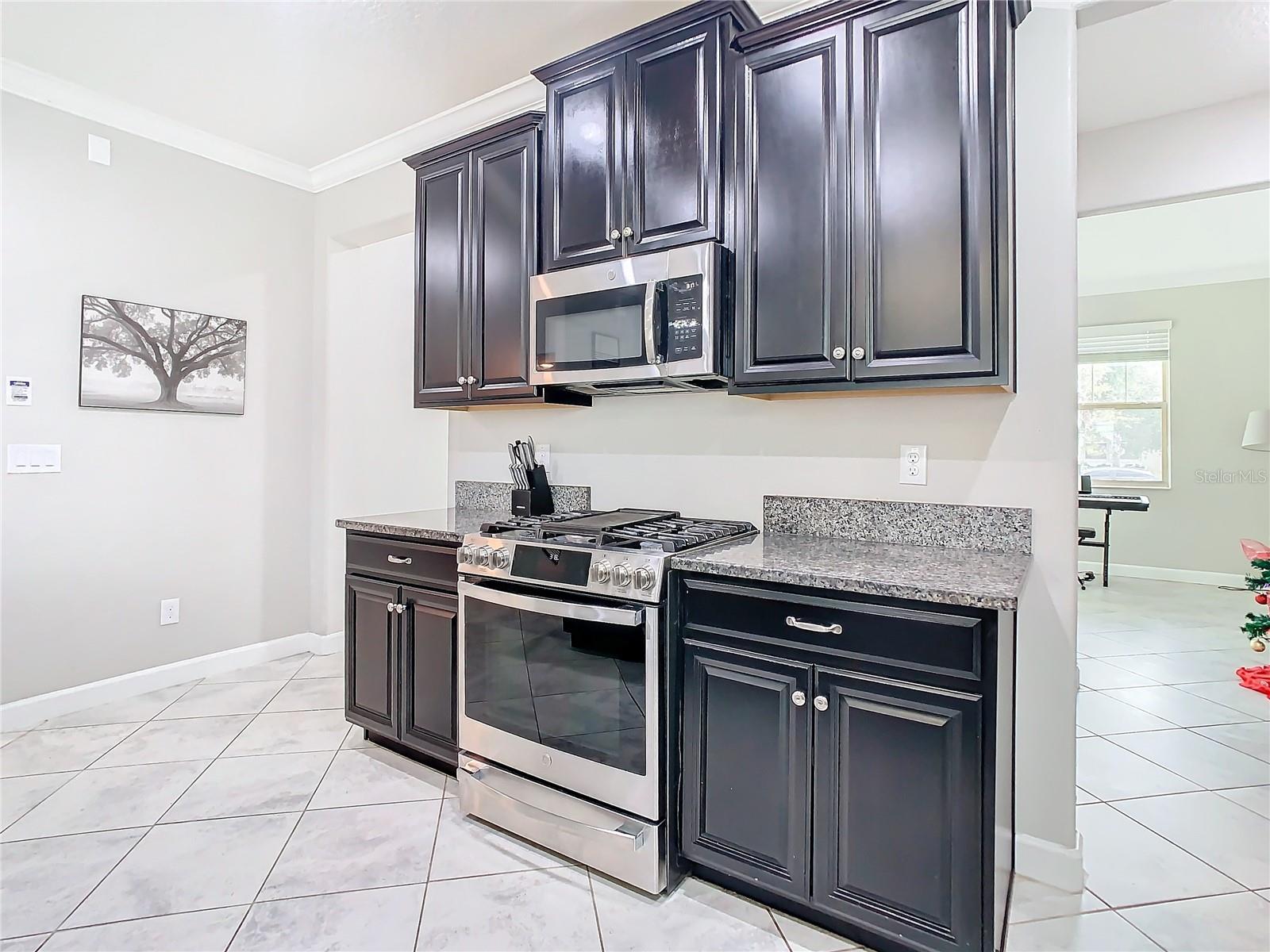 25215 LAMBRUSCO LOOP, LUTZ, FL, 33559