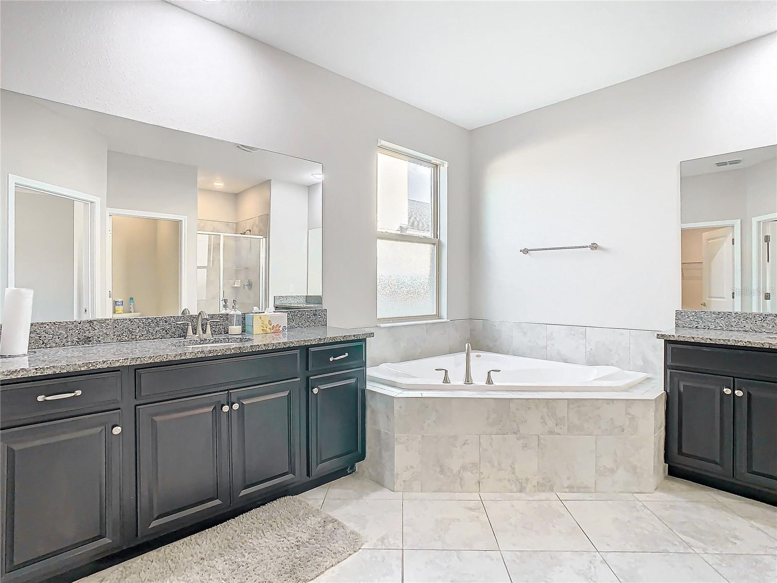 25215 LAMBRUSCO LOOP, LUTZ, FL, 33559