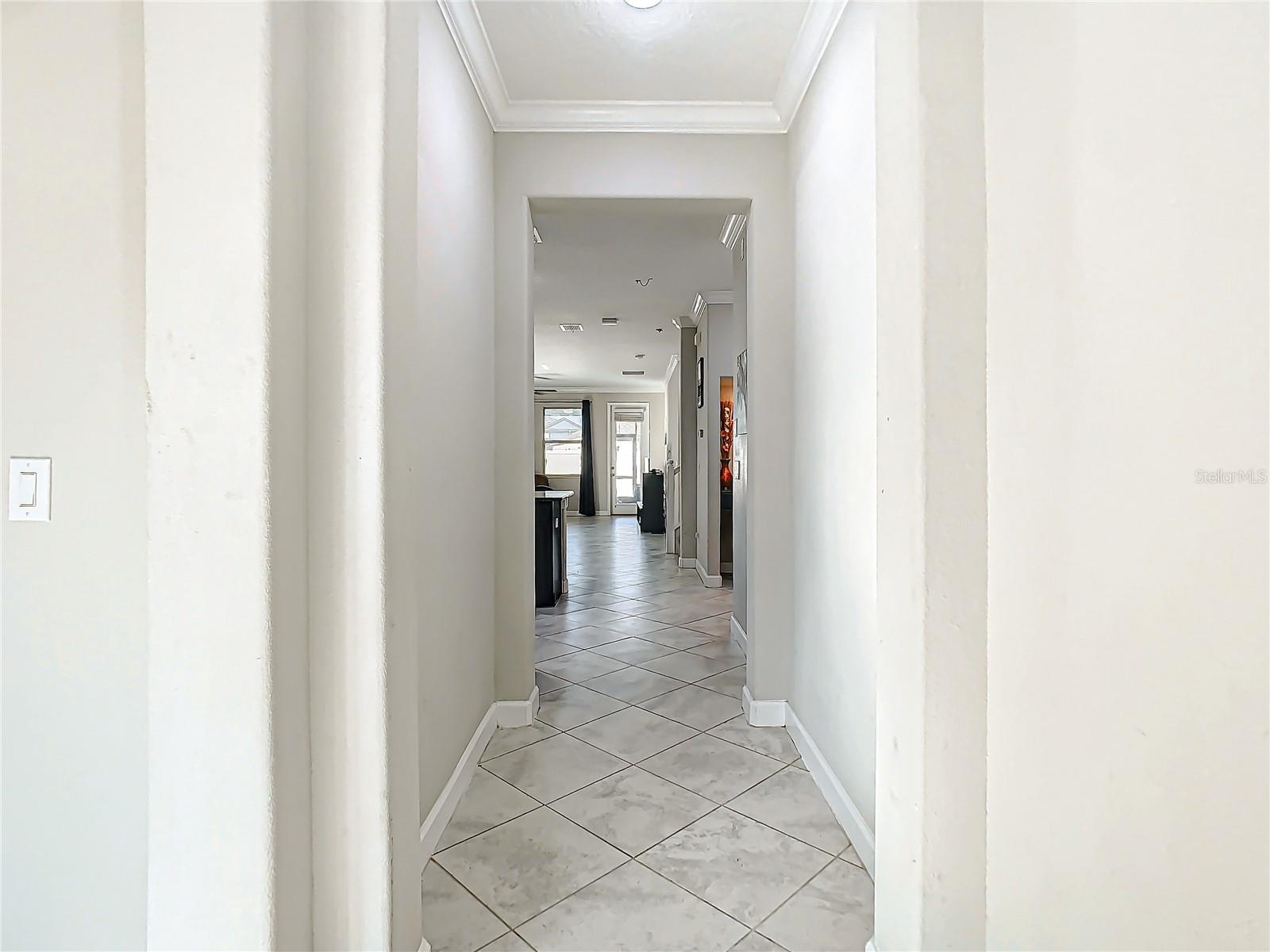 25215 LAMBRUSCO LOOP, LUTZ, FL, 33559