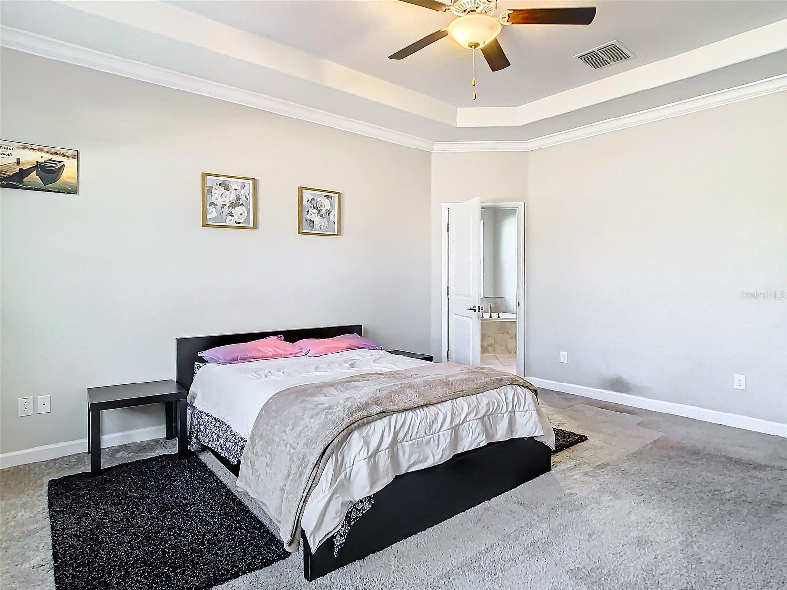 25215 LAMBRUSCO LOOP, LUTZ, FL, 33559