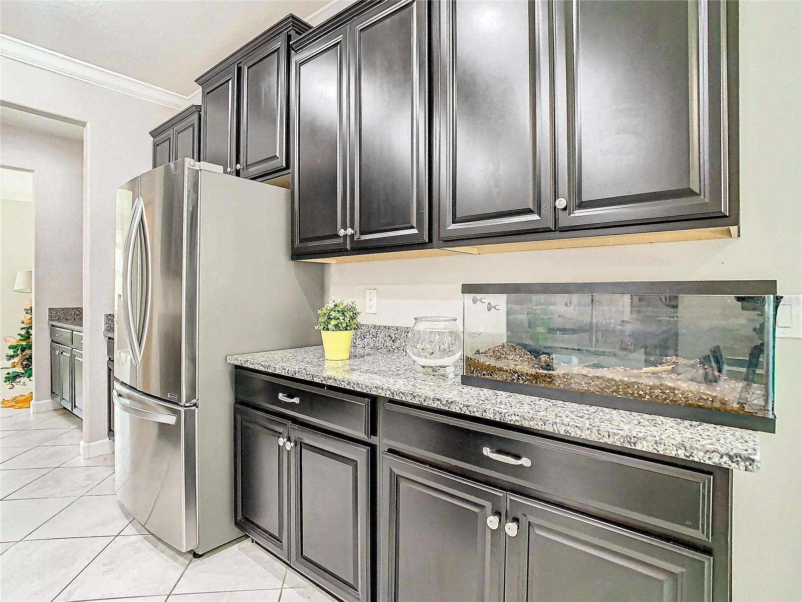 25215 LAMBRUSCO LOOP, LUTZ, FL, 33559