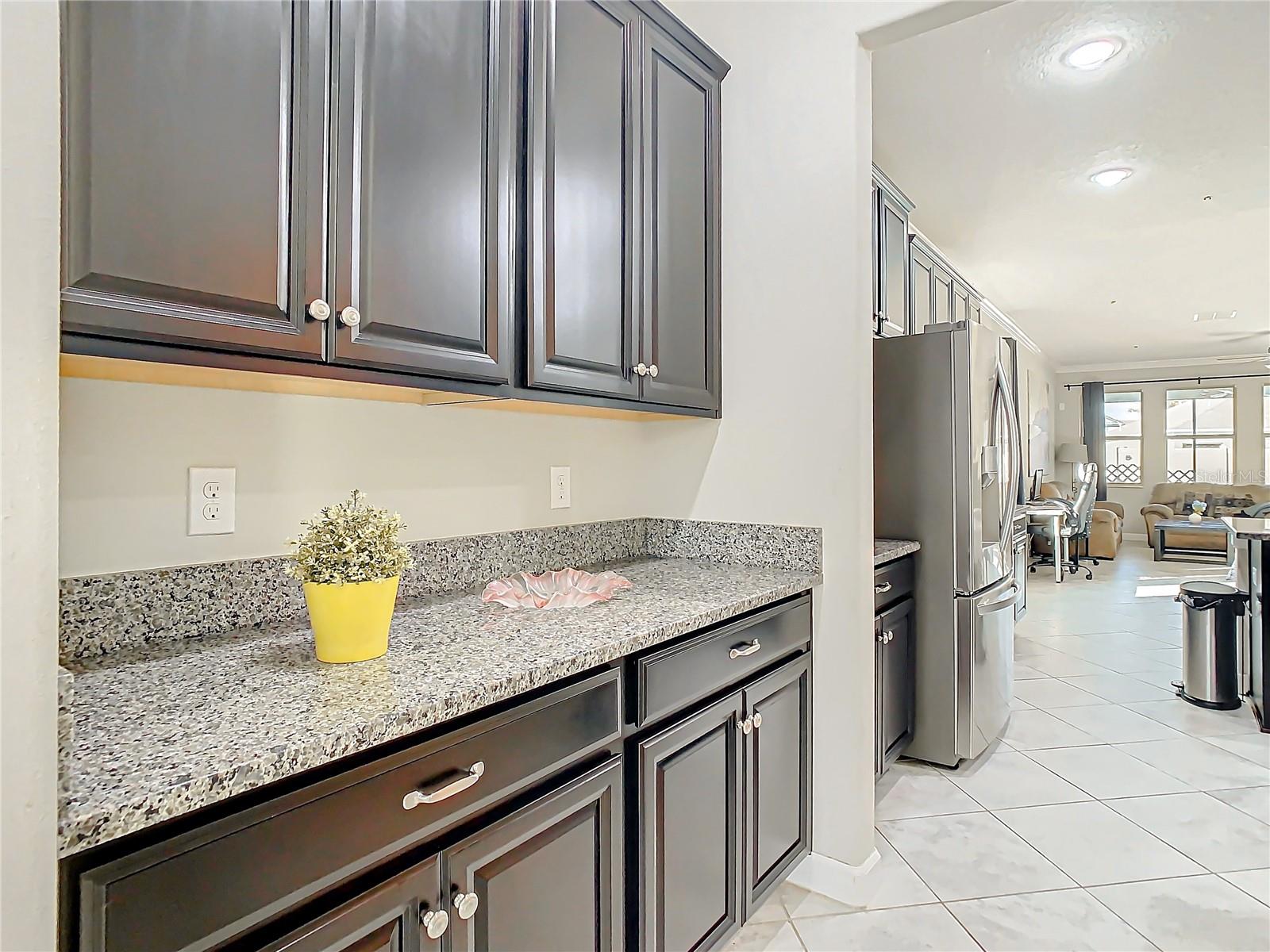 25215 LAMBRUSCO LOOP, LUTZ, FL, 33559