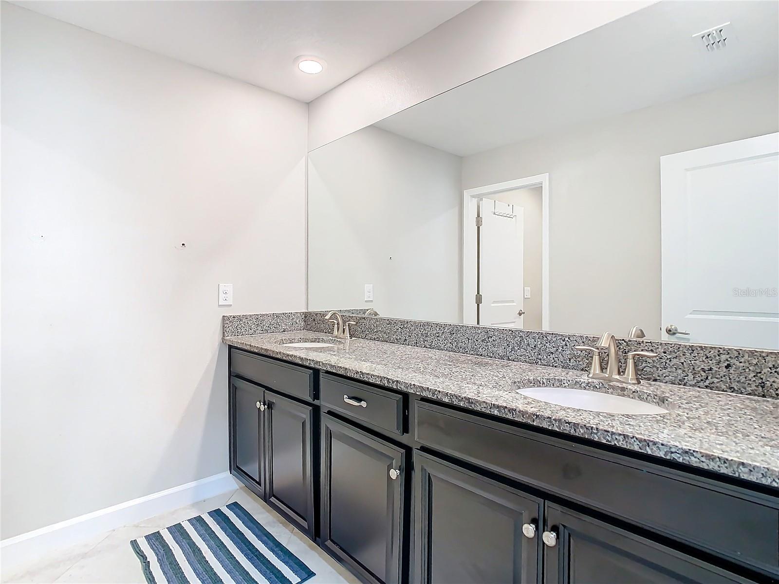 25215 LAMBRUSCO LOOP, LUTZ, FL, 33559