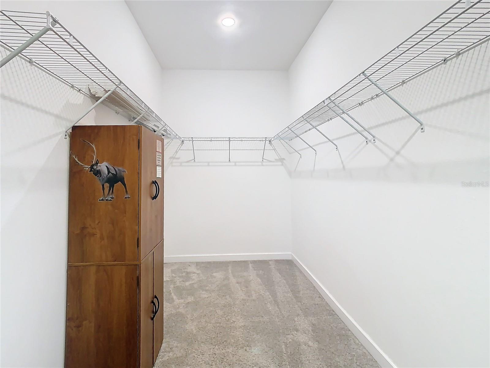 25215 LAMBRUSCO LOOP, LUTZ, FL, 33559