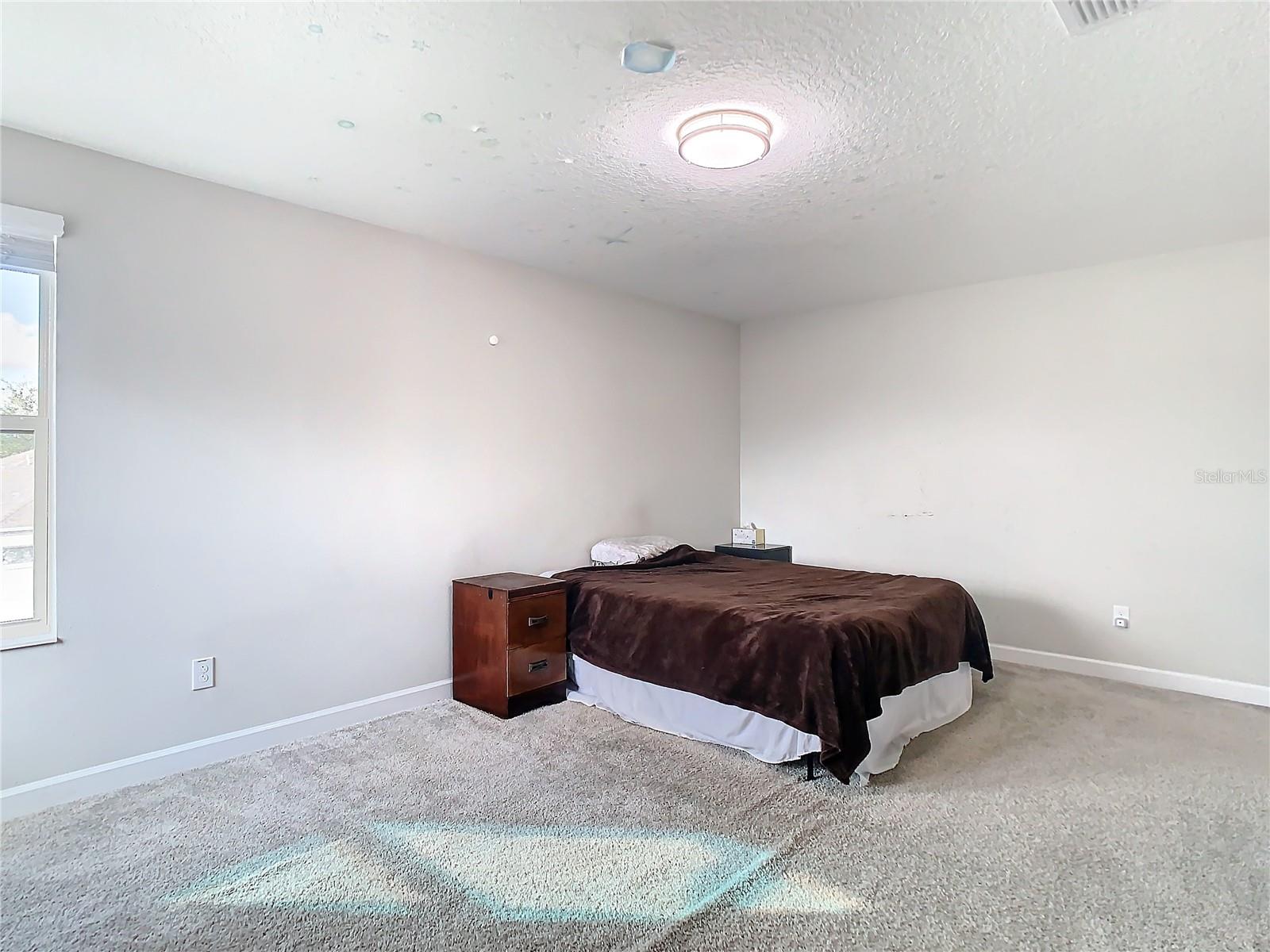 25215 LAMBRUSCO LOOP, LUTZ, FL, 33559