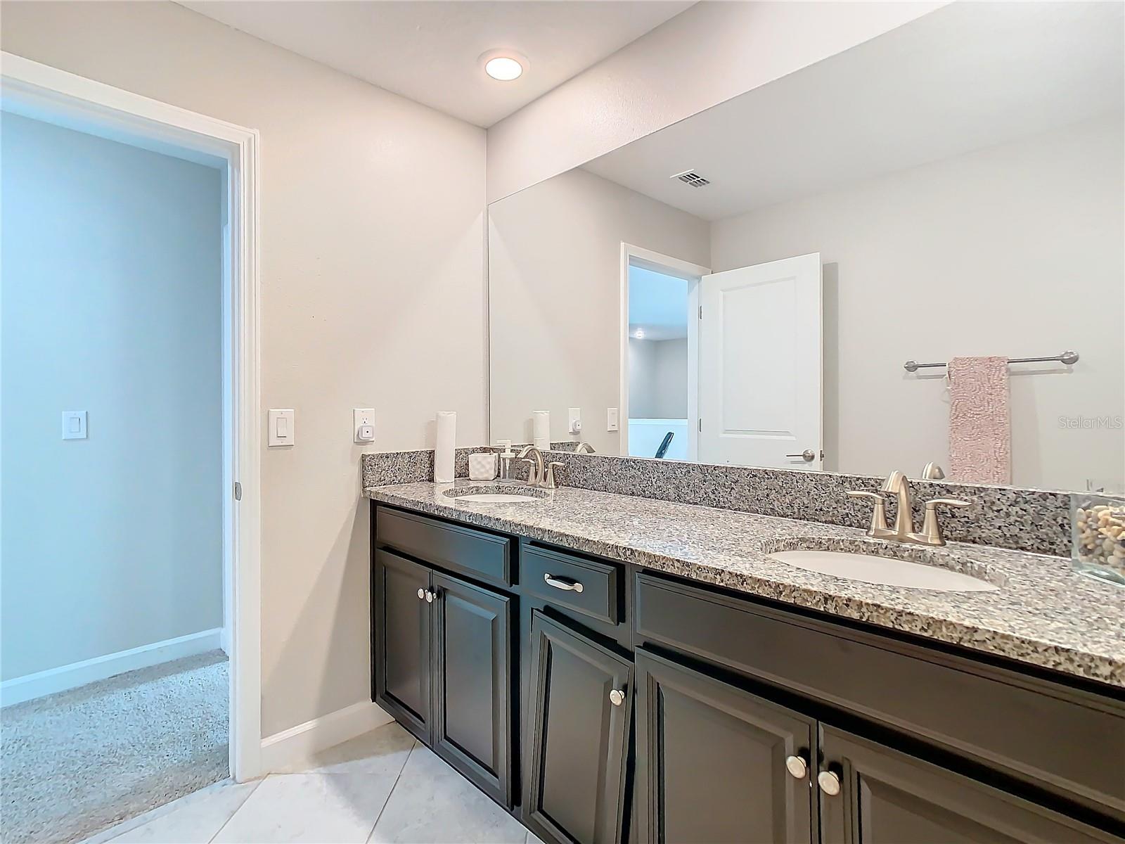 25215 LAMBRUSCO LOOP, LUTZ, FL, 33559