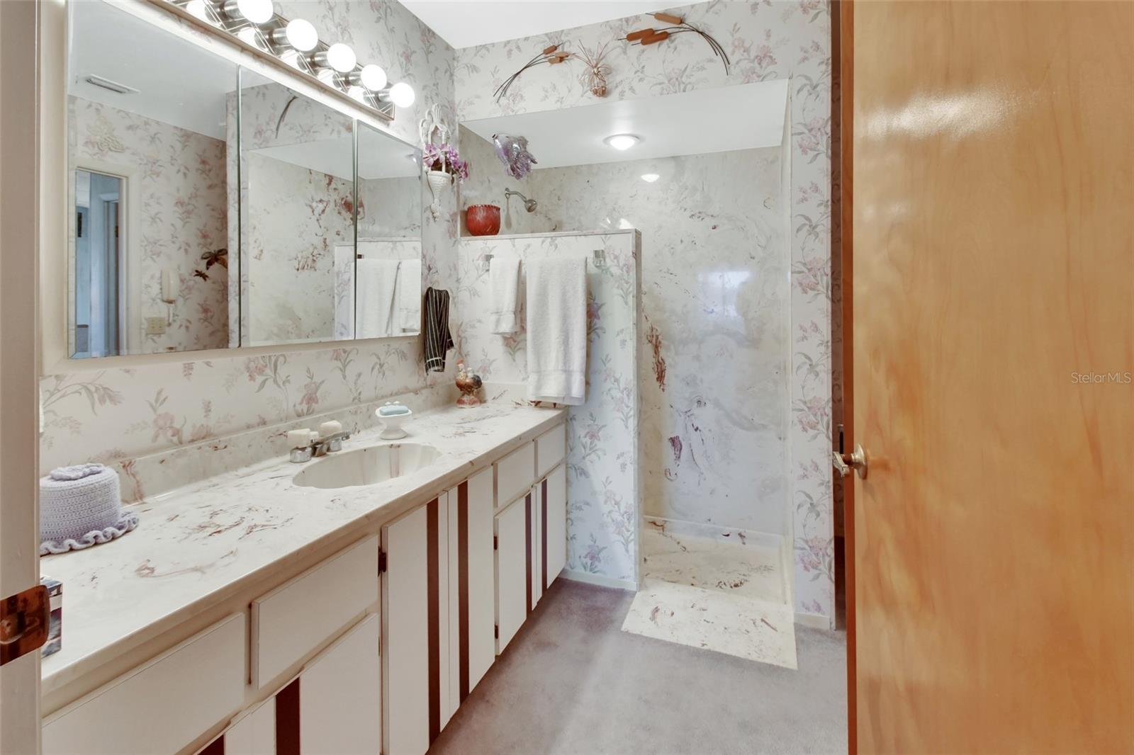 180 ROBINSON LN, SEVILLE, FL, 32190