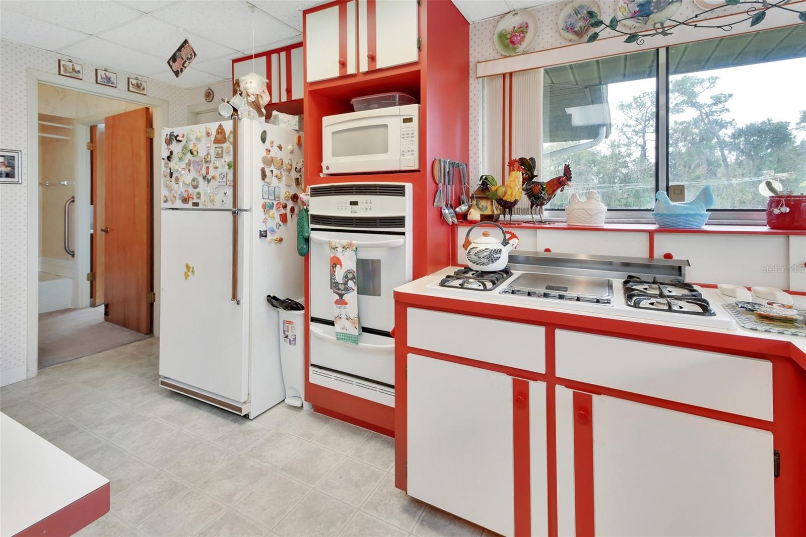 180 ROBINSON LN, SEVILLE, FL, 32190