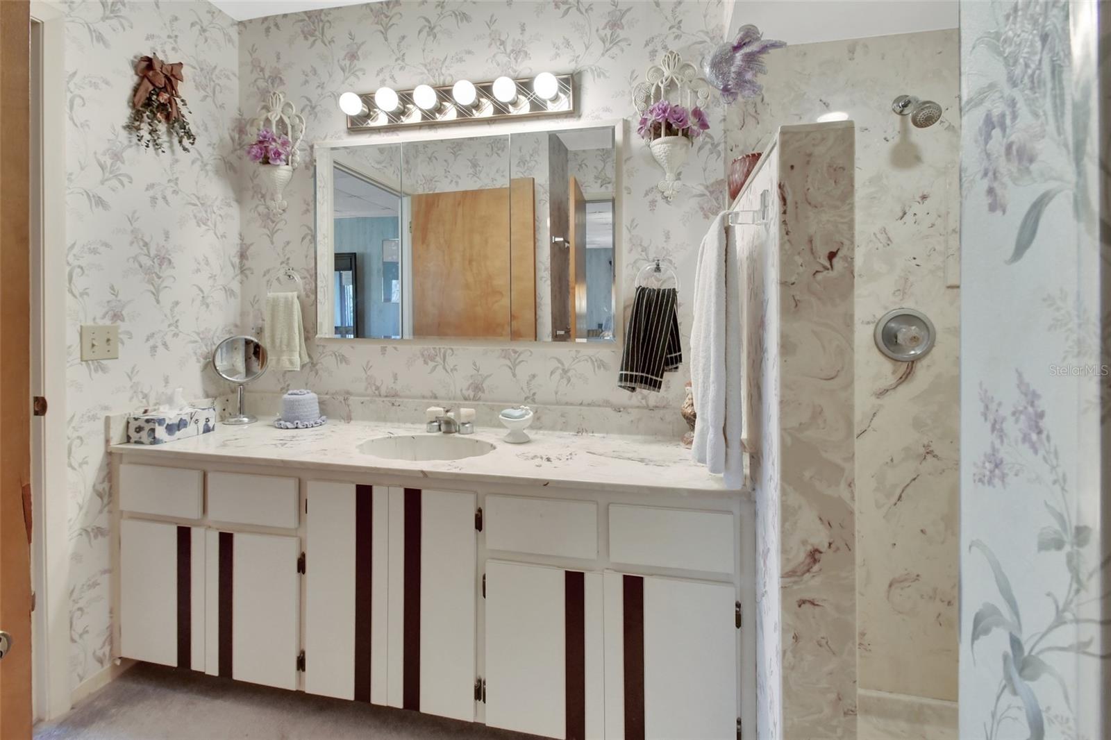 180 ROBINSON LN, SEVILLE, FL, 32190
