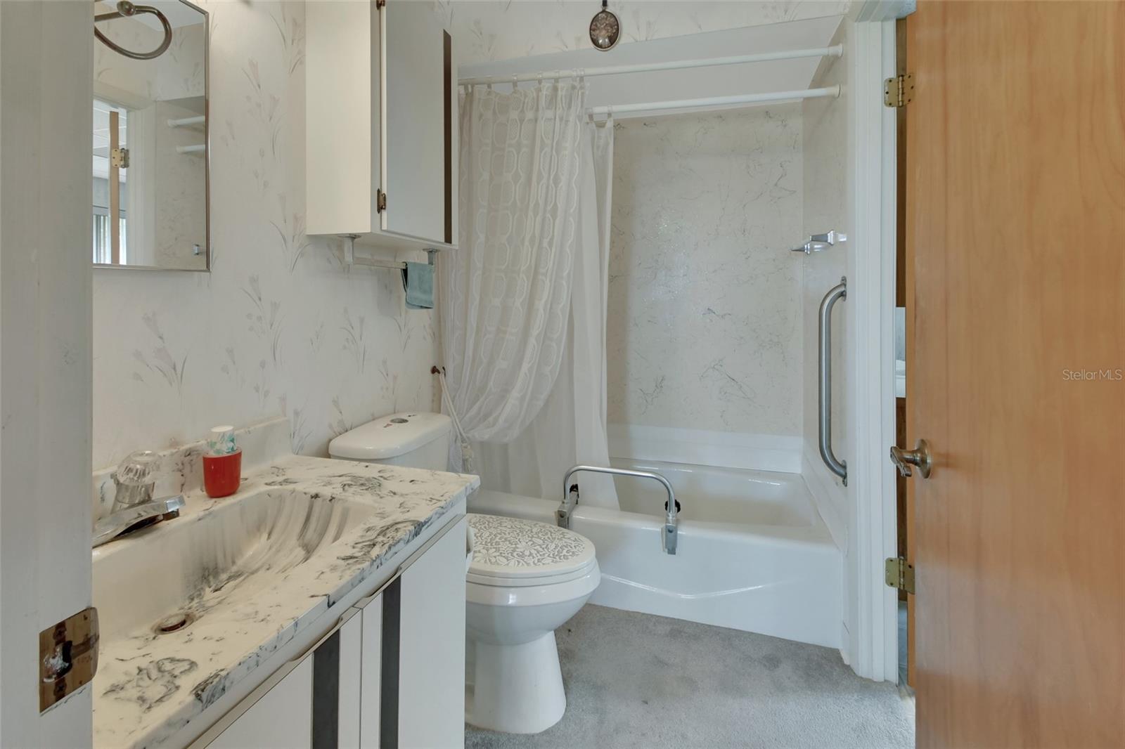180 ROBINSON LN, SEVILLE, FL, 32190