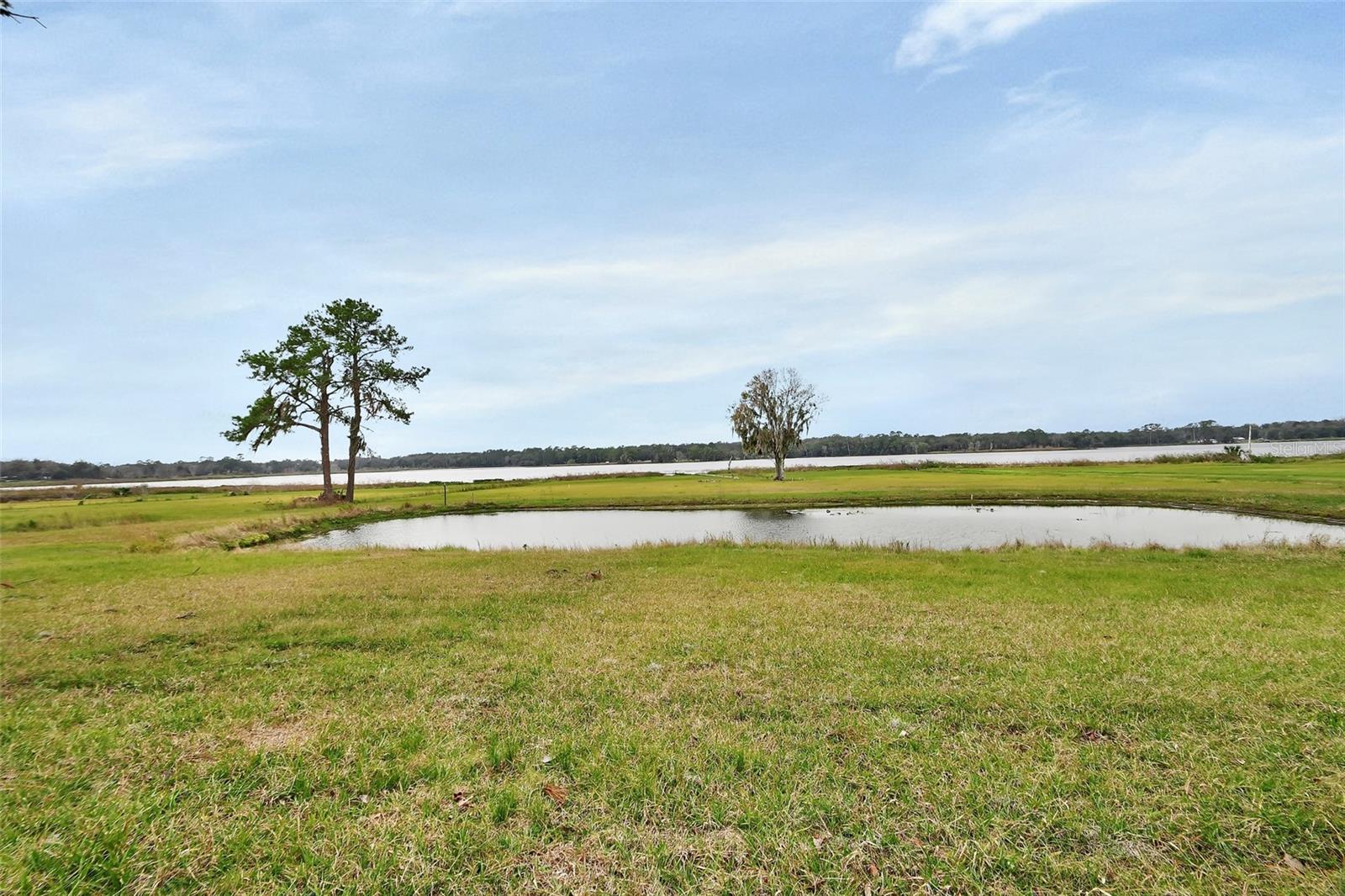 180 ROBINSON LN, SEVILLE, FL, 32190