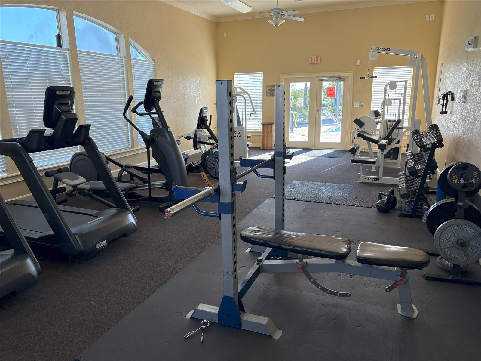 4333 BAYSIDE VILLAGE DR #314, TAMPA, FL, 33615