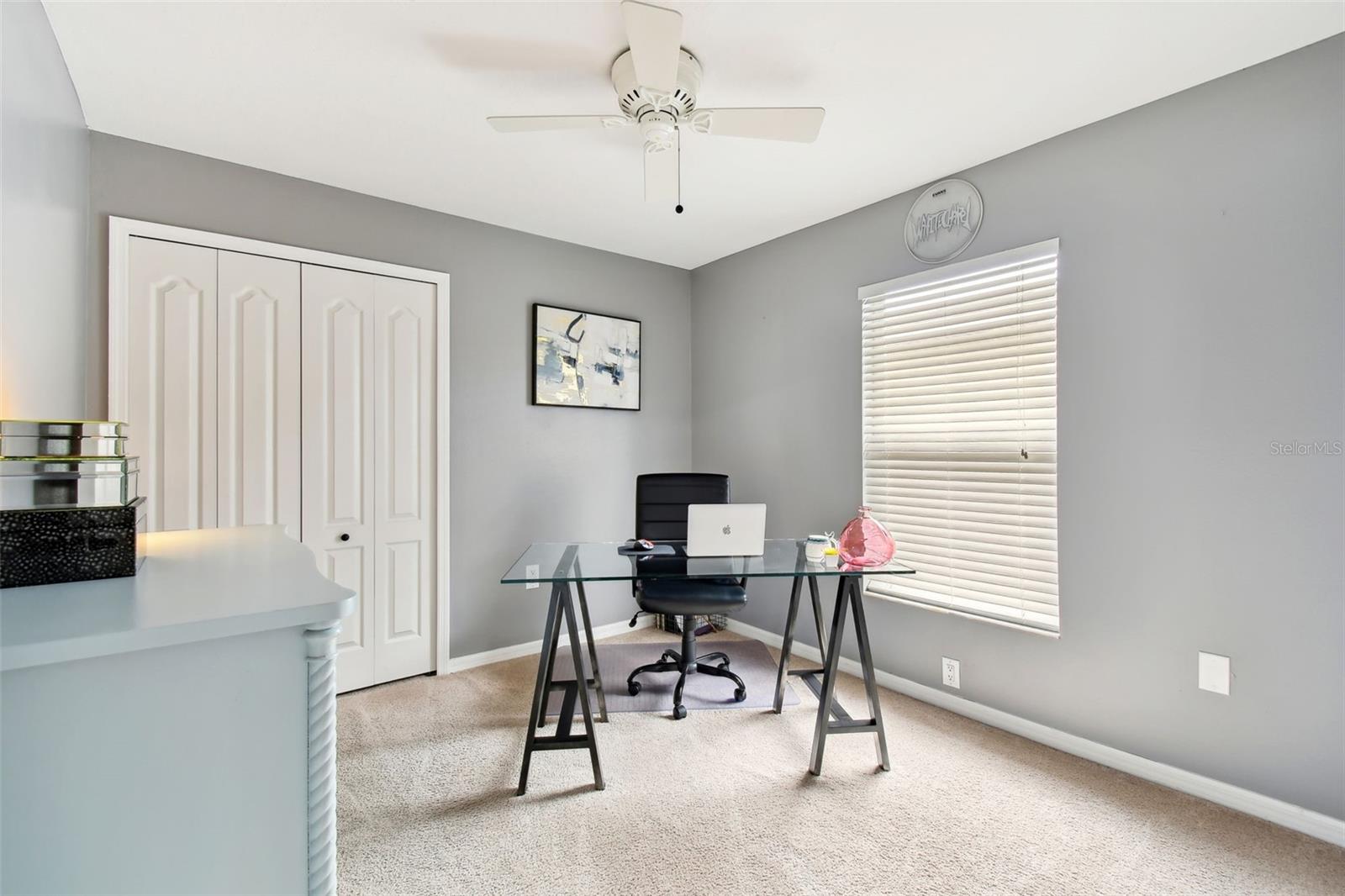 6410 CHAPEL PINES BLVD, WESLEY CHAPEL, FL, 33545