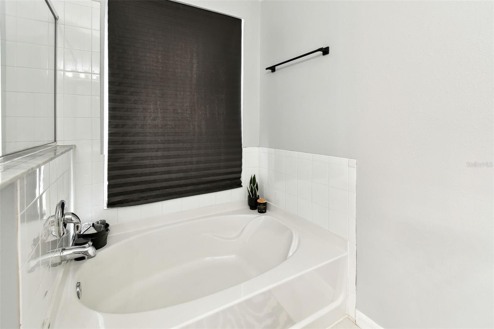 6410 CHAPEL PINES BLVD, WESLEY CHAPEL, FL, 33545