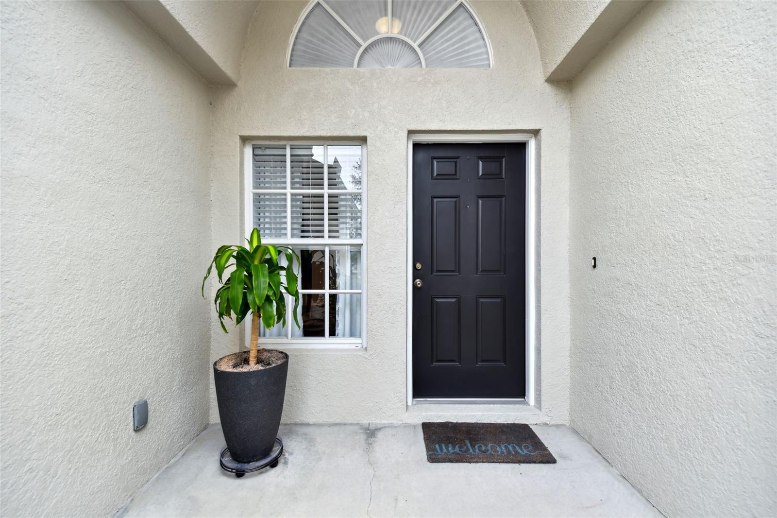 6410 CHAPEL PINES BLVD, WESLEY CHAPEL, FL, 33545