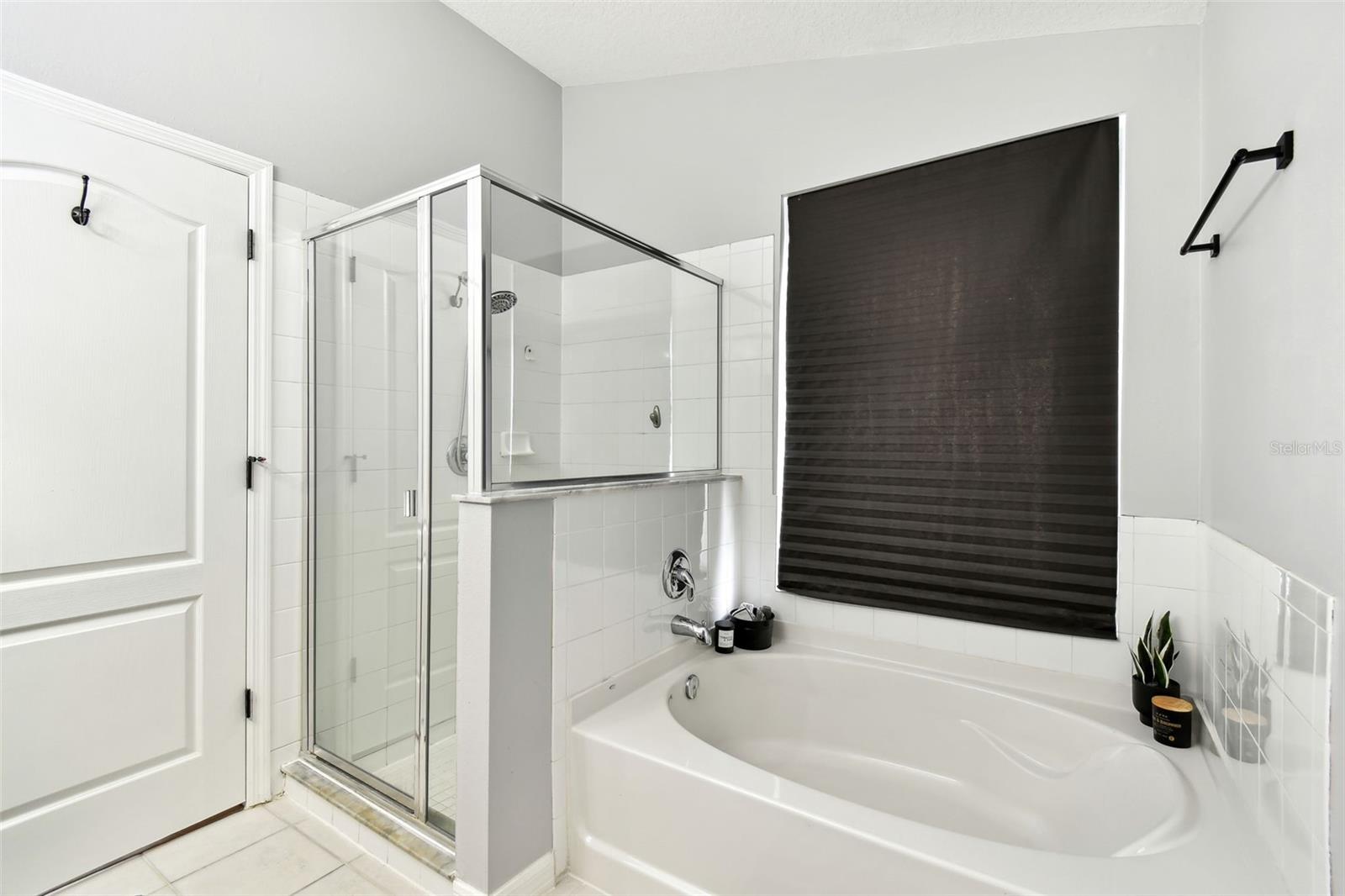 6410 CHAPEL PINES BLVD, WESLEY CHAPEL, FL, 33545