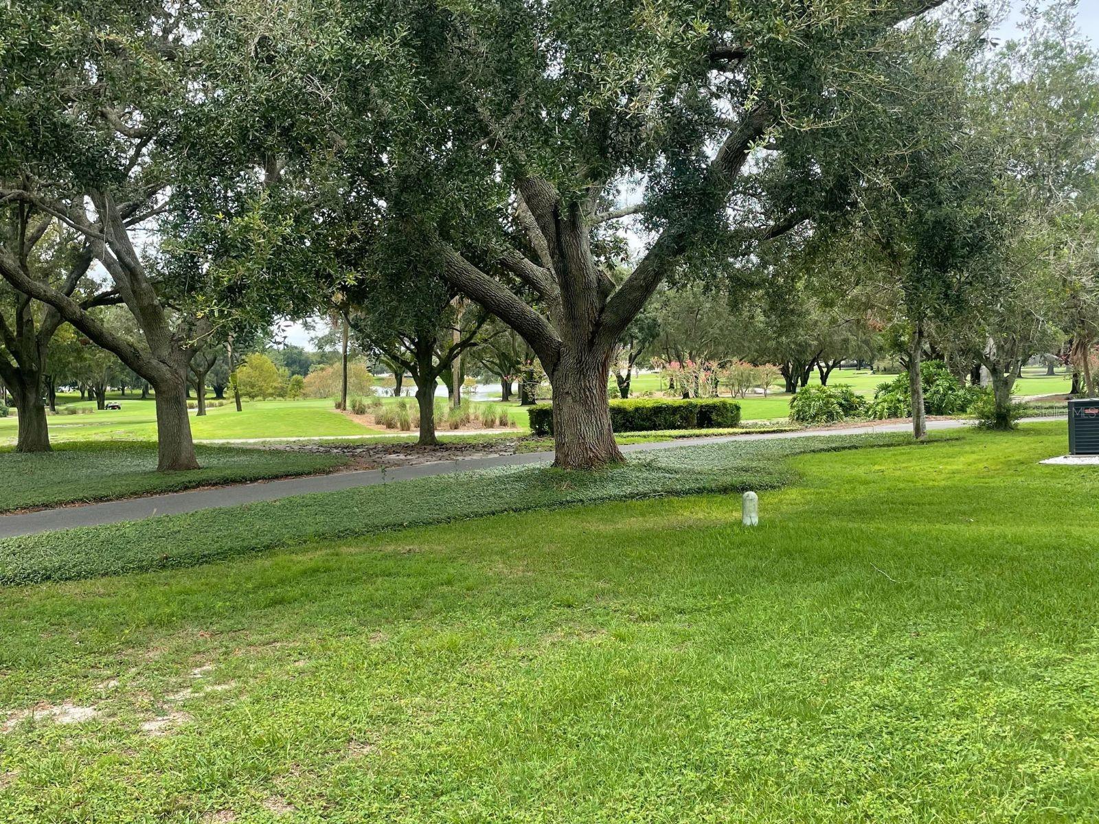 855 CORTEZ AVE, THE VILLAGES, FL, 32159