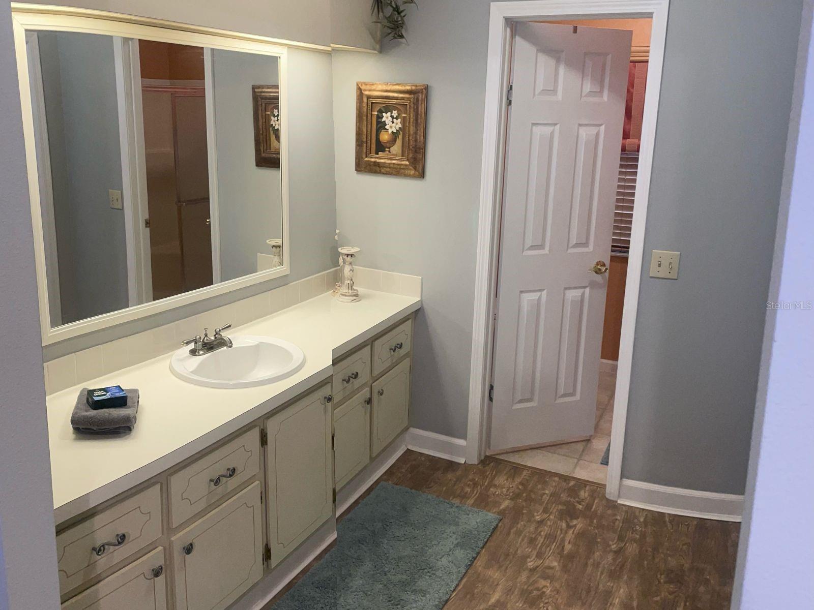 855 CORTEZ AVE, THE VILLAGES, FL, 32159