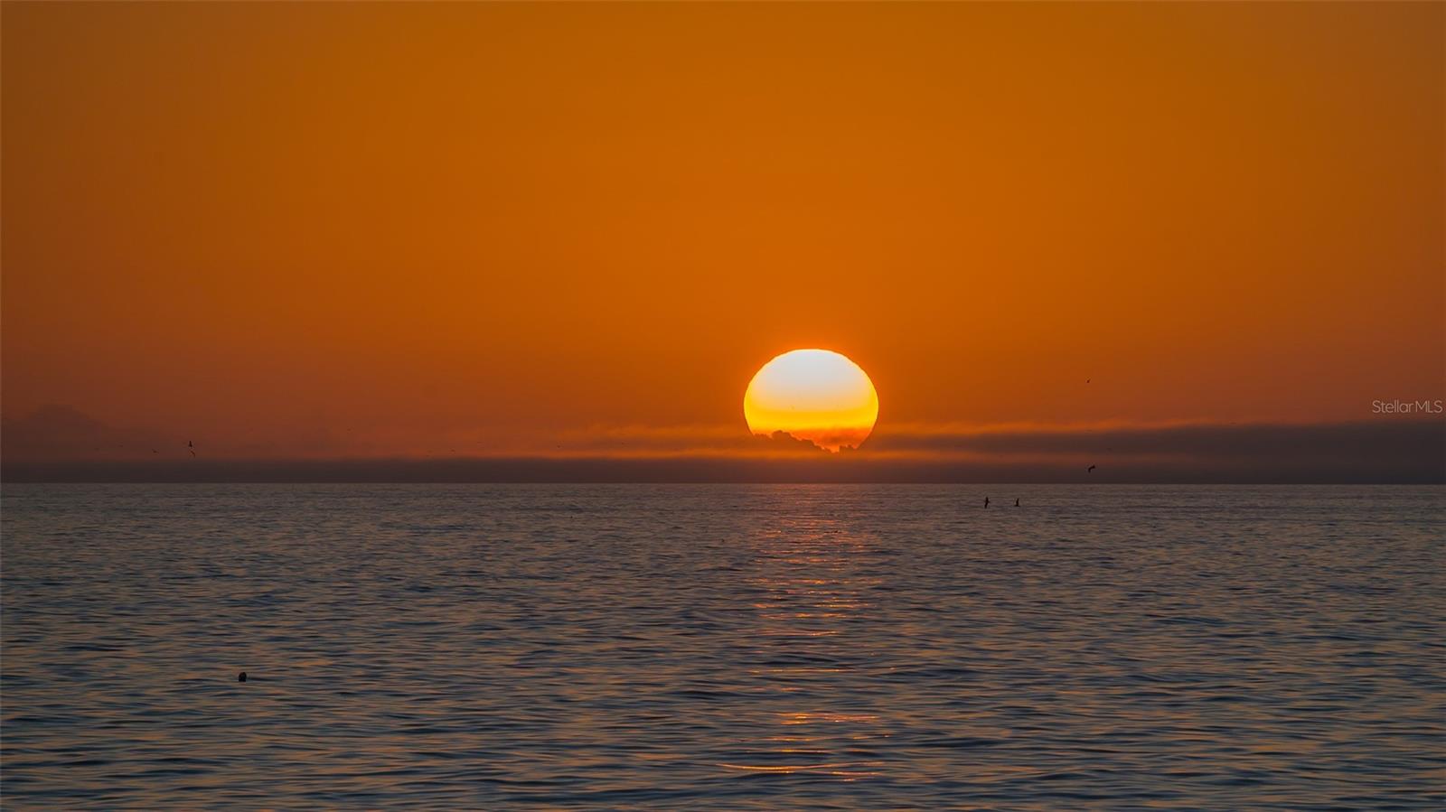639 CORNWELL ON THE GULF, VENICE, FL, 34285
