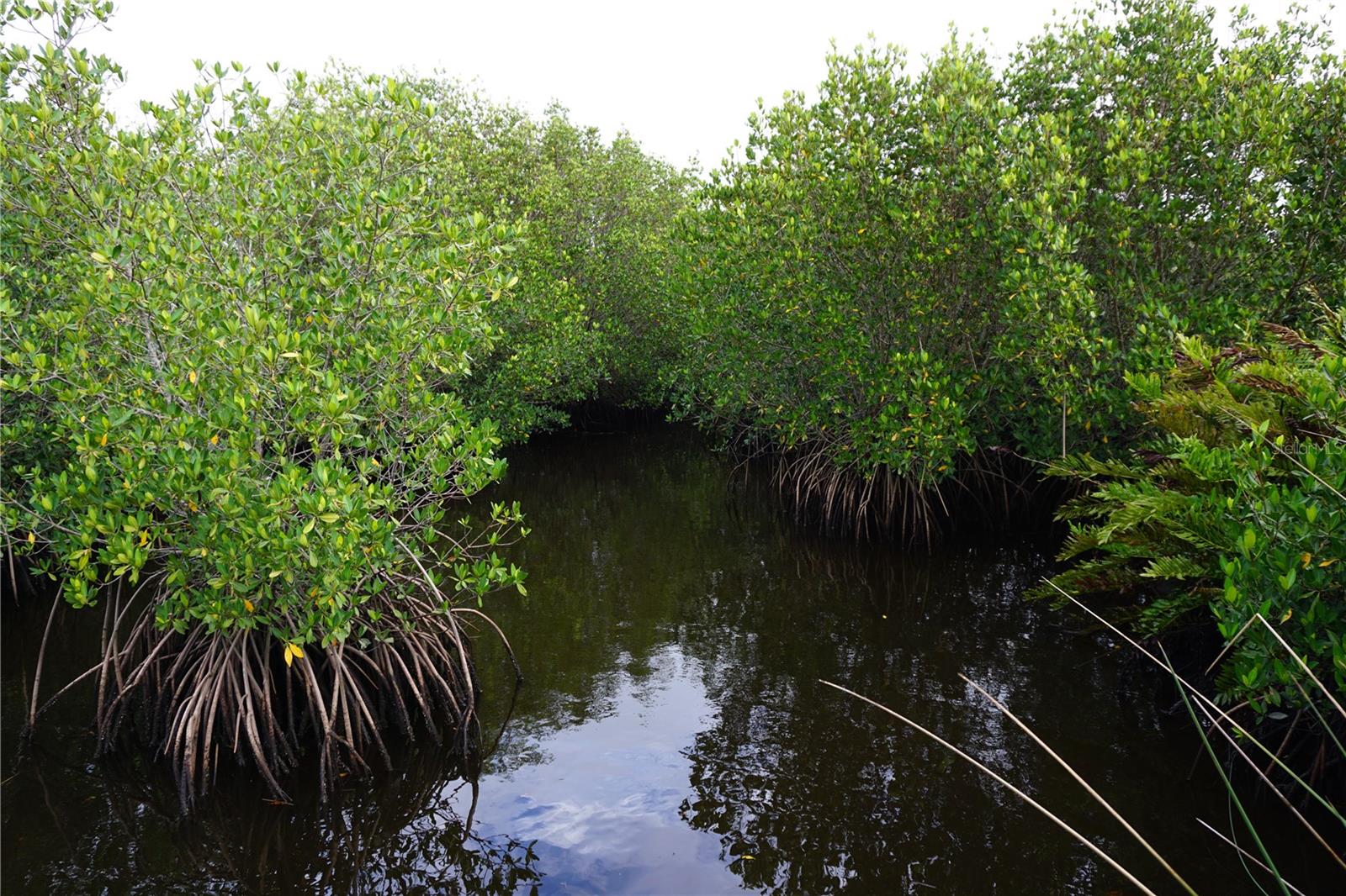 1590 CONDOR DR, PUNTA GORDA, FL, 33982