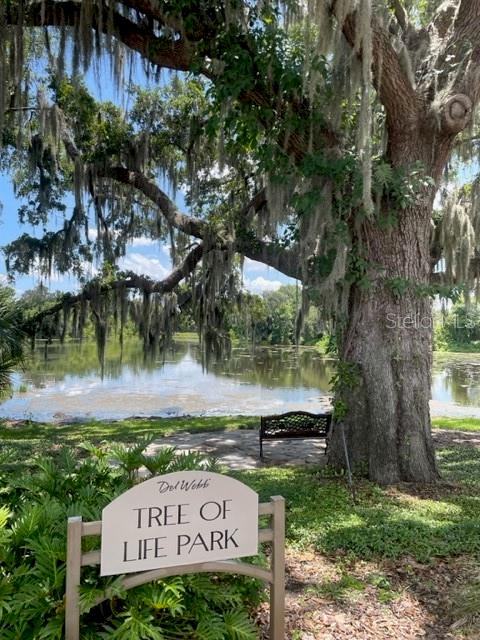533 ARENA DR, DAVENPORT, FL, 33837