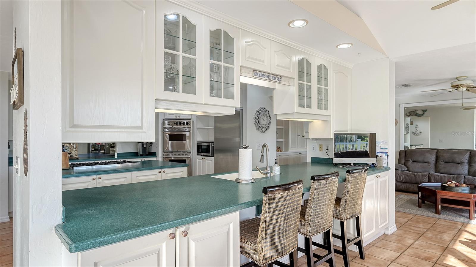 4527 BIMINI DR, BRADENTON, FL, 34210