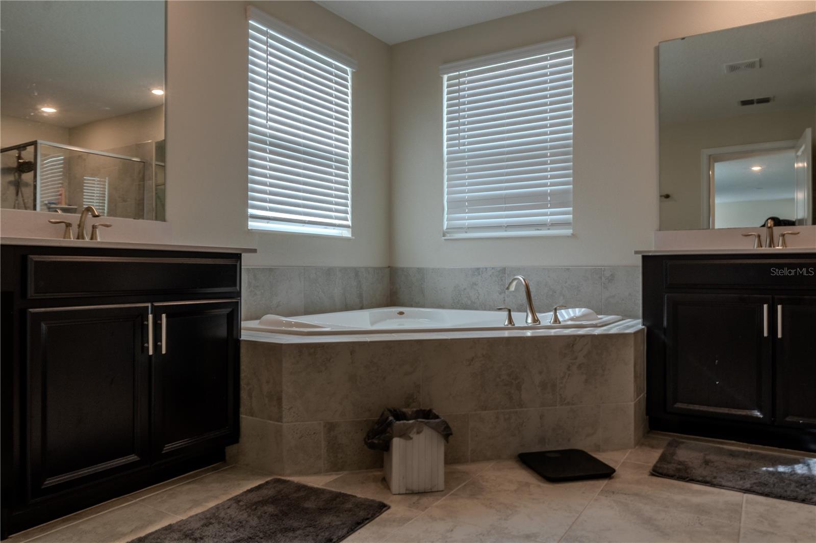 8970 FLUFFY LIE CT, DAVENPORT, FL, 33896