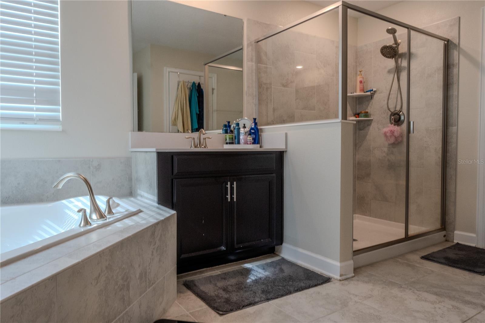 8970 FLUFFY LIE CT, DAVENPORT, FL, 33896