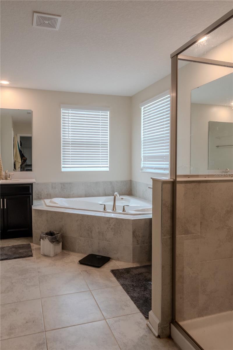 8970 FLUFFY LIE CT, DAVENPORT, FL, 33896