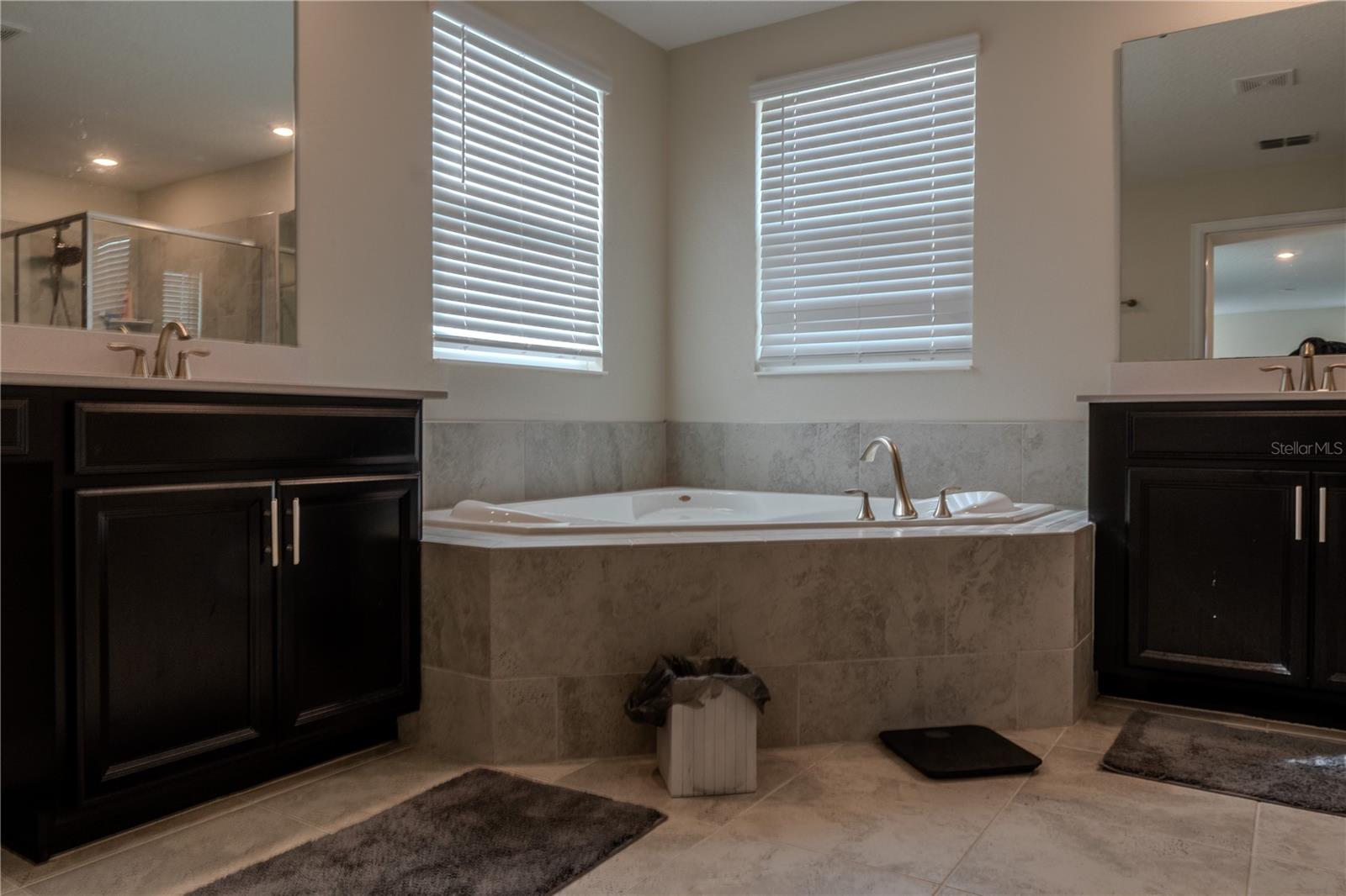 8970 FLUFFY LIE CT, DAVENPORT, FL, 33896