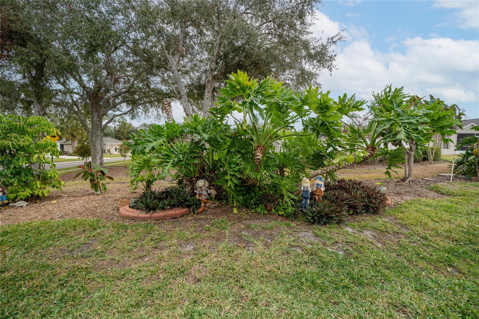 5246 GATO DEL SOL CIR, WESLEY CHAPEL, FL, 33544
