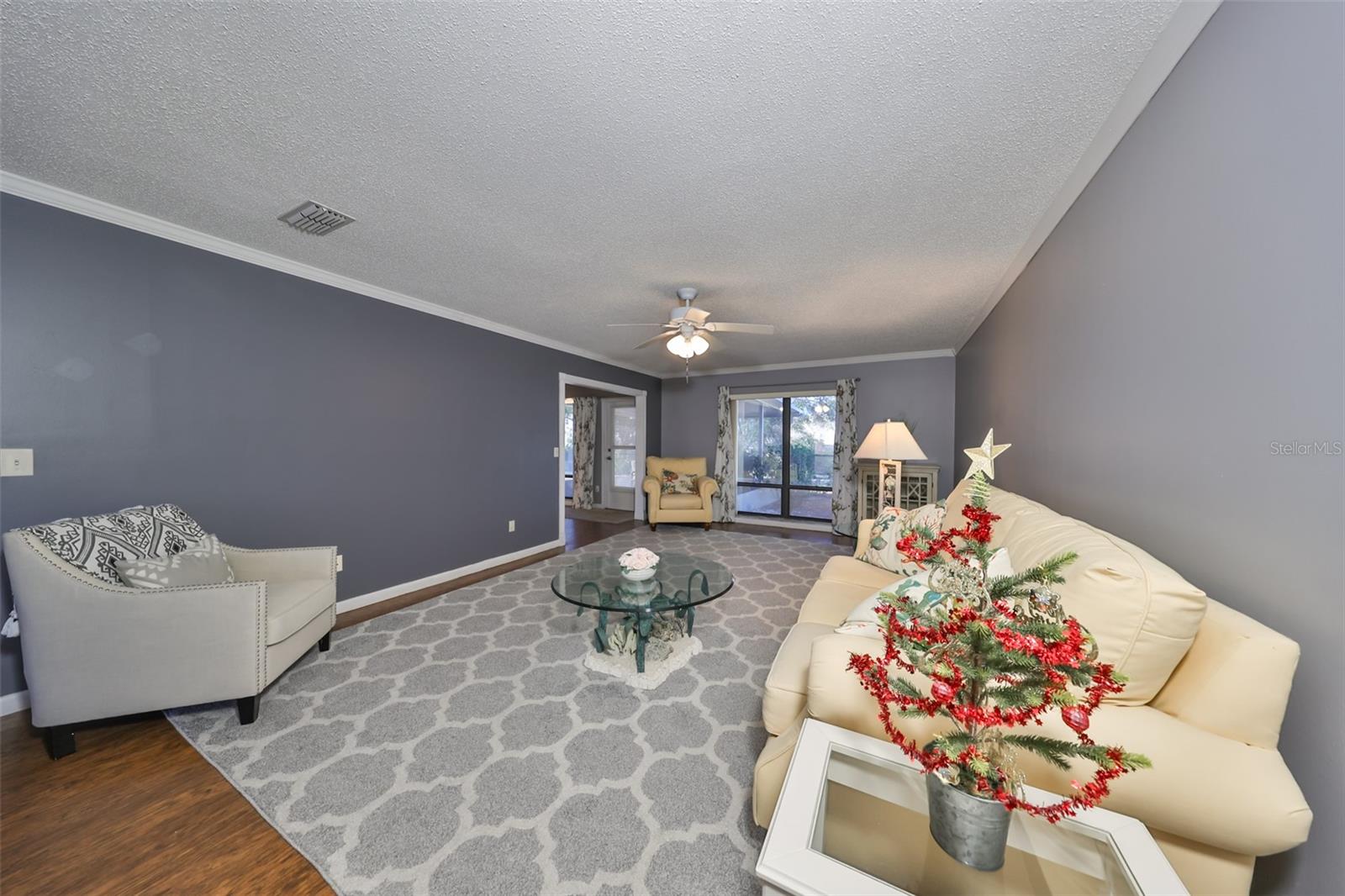 703 ELKHORN RD, SUN CITY CENTER, FL, 33573