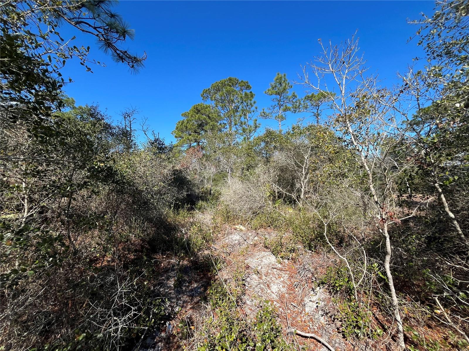 394 ROYAL TERN WAY, CARRABELLE, FL, 32322