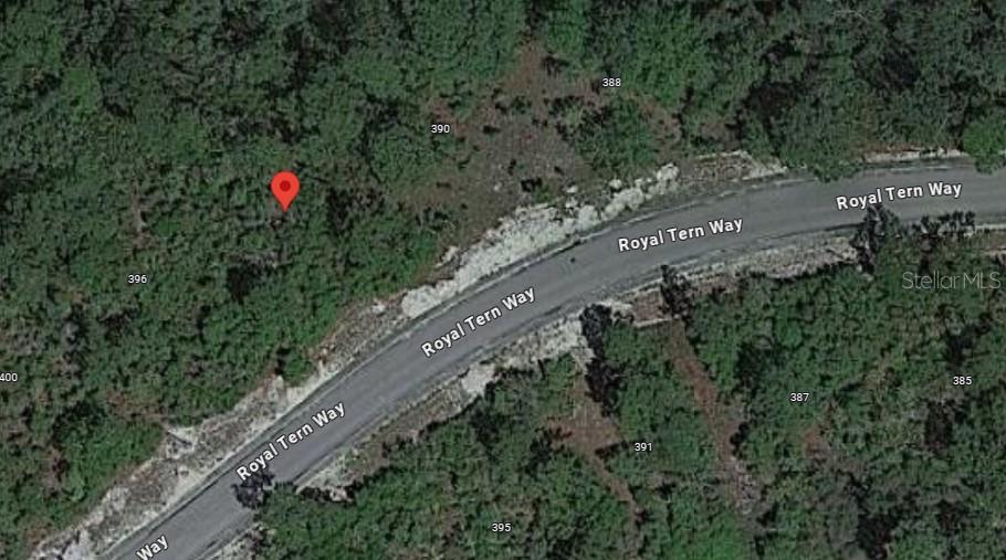 394 ROYAL TERN WAY, CARRABELLE, FL, 32322