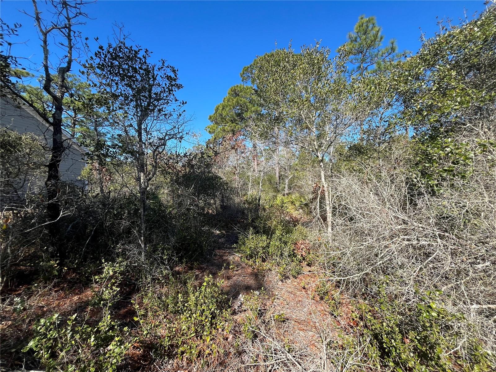 394 ROYAL TERN WAY, CARRABELLE, FL, 32322