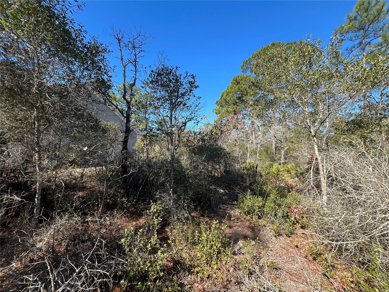 394 ROYAL TERN WAY, CARRABELLE, FL, 32322
