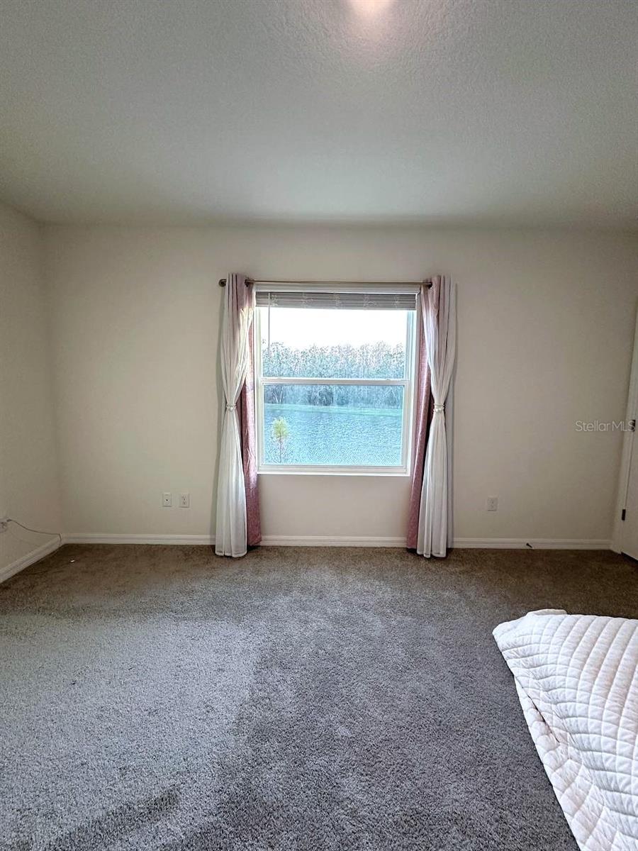 32940 PEZ LANDING LN #3294, WESLEY CHAPEL, FL, 33543