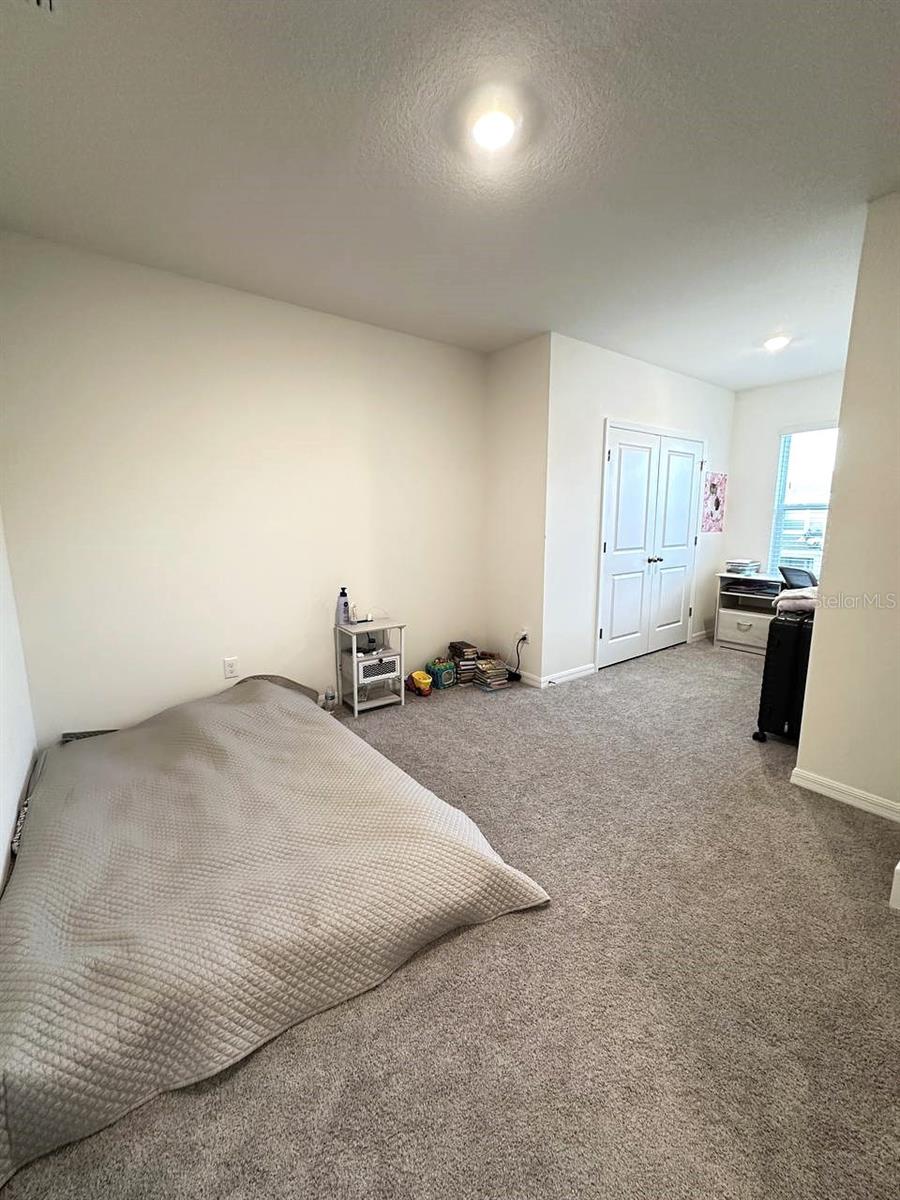 32940 PEZ LANDING LN #3294, WESLEY CHAPEL, FL, 33543