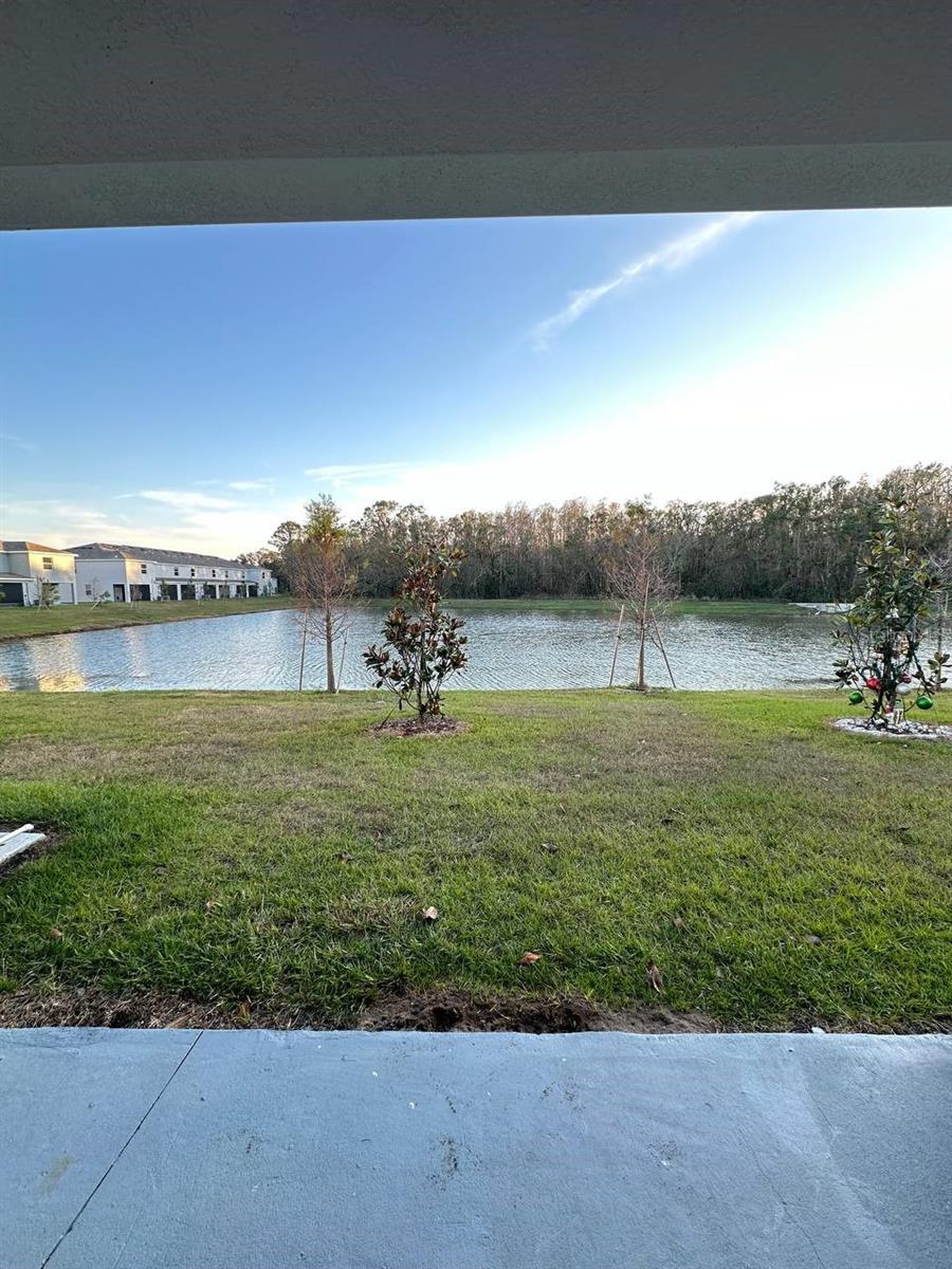 32940 PEZ LANDING LN #3294, WESLEY CHAPEL, FL, 33543