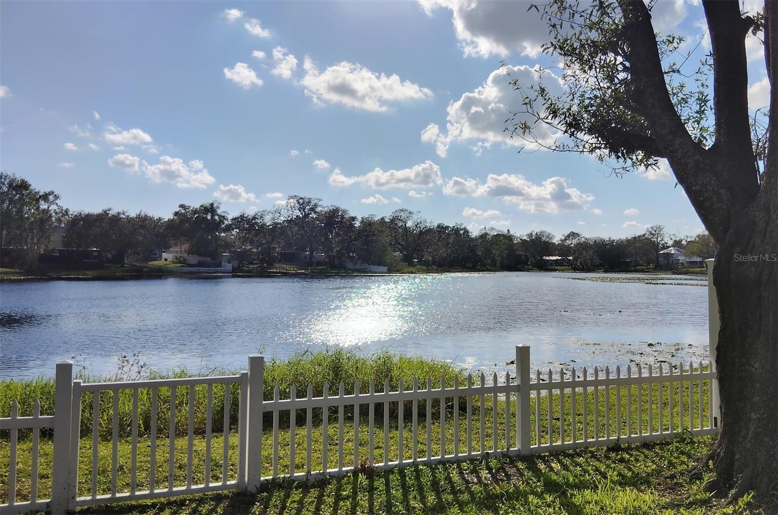 12506 FOREST HILLS DR, TAMPA, FL, 33612