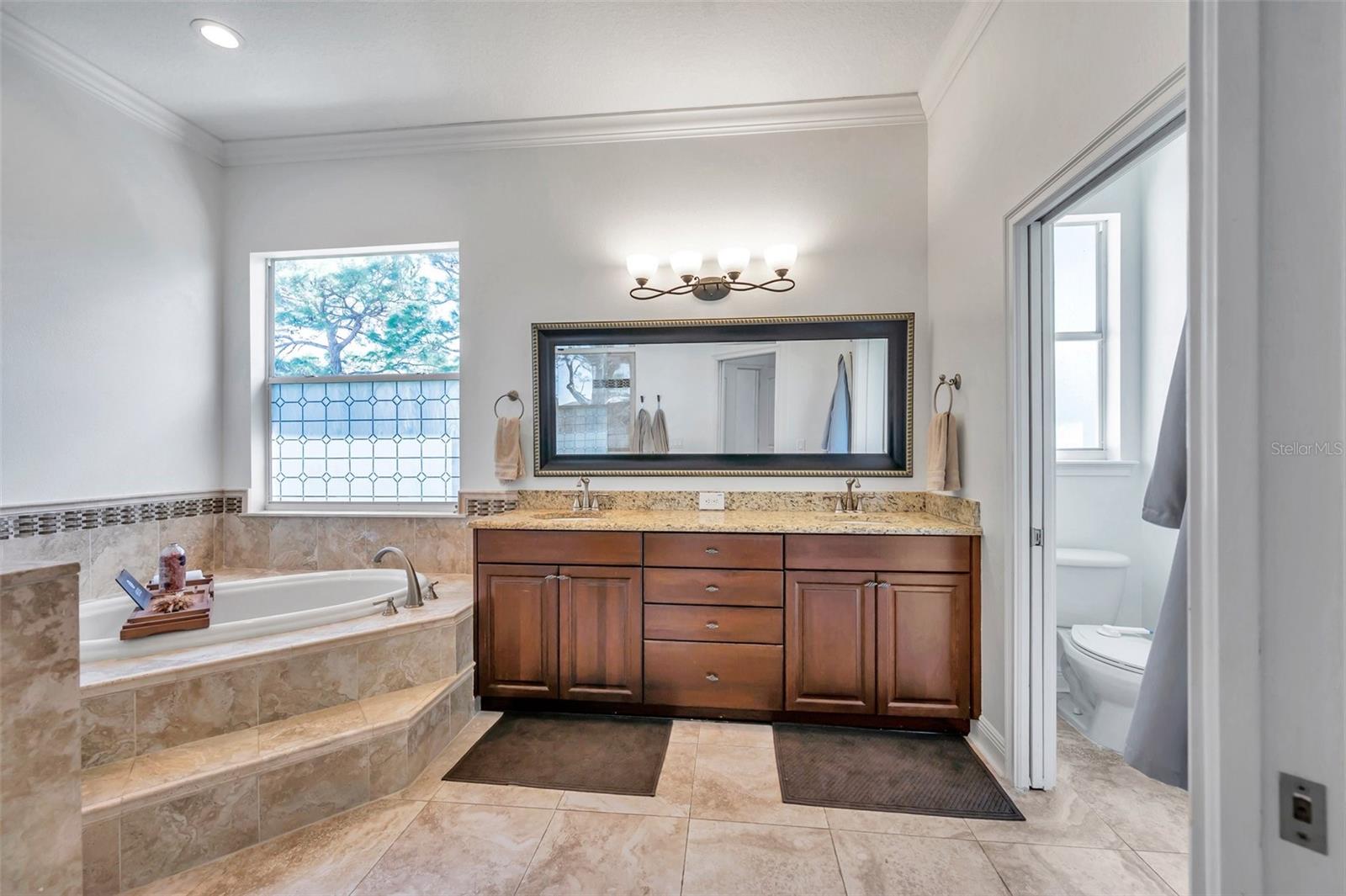 2012 HARBOUR WATCH CIR, TARPON SPRINGS, FL, 34689