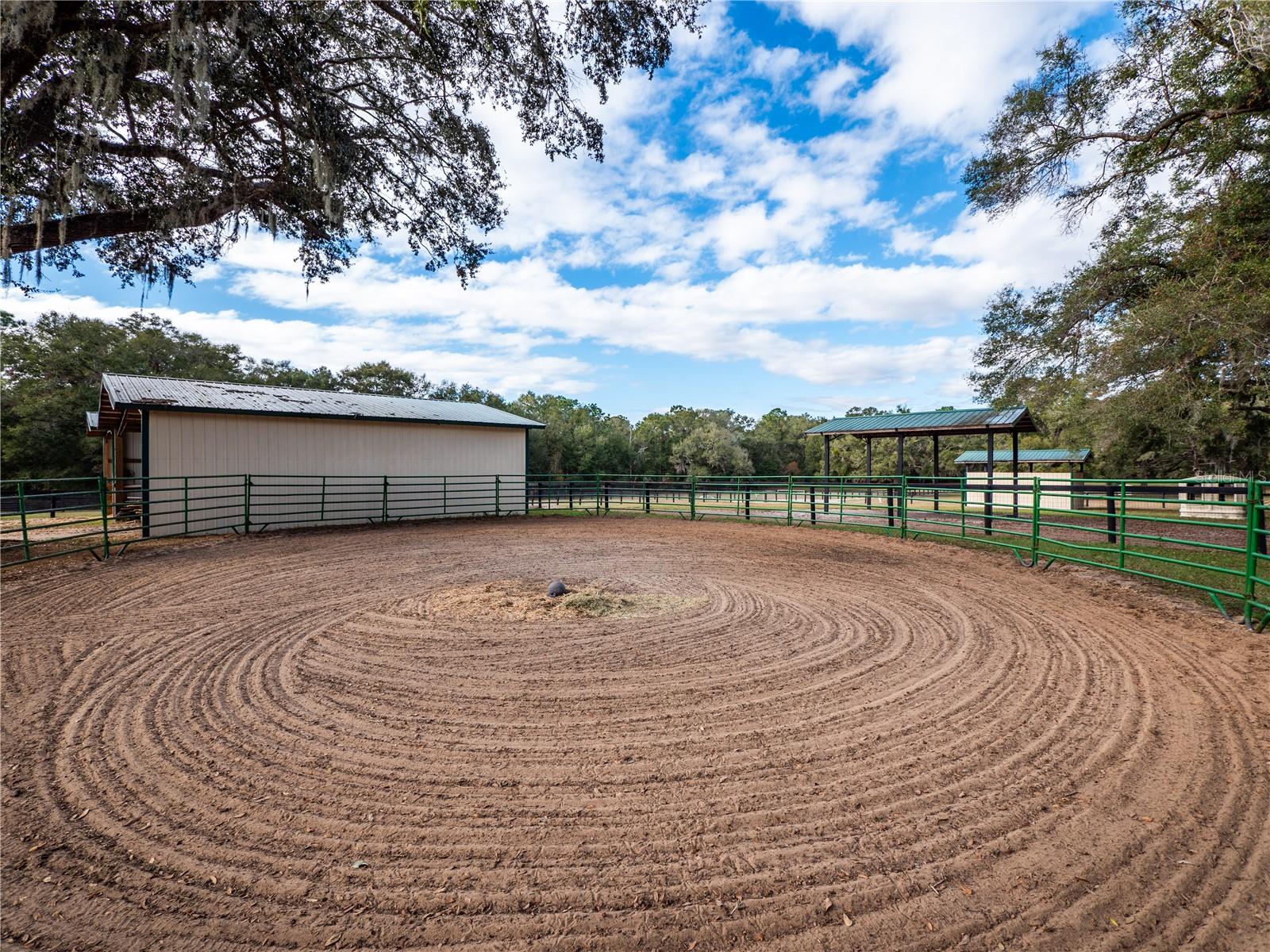 8721 SW 34TH PL, OCALA, FL, 34481