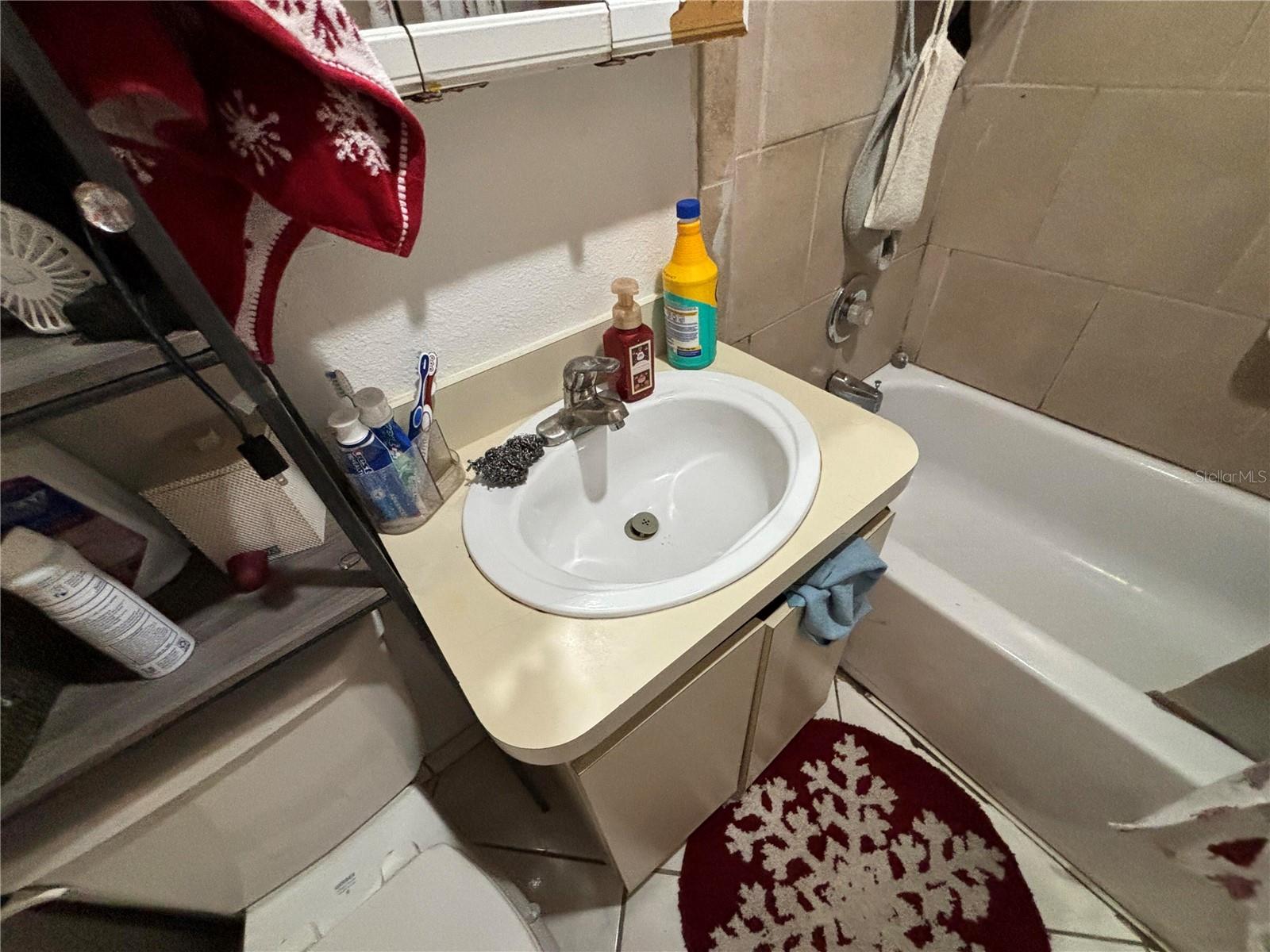 10011 N ANNETTE AVE, TAMPA, FL, 33612