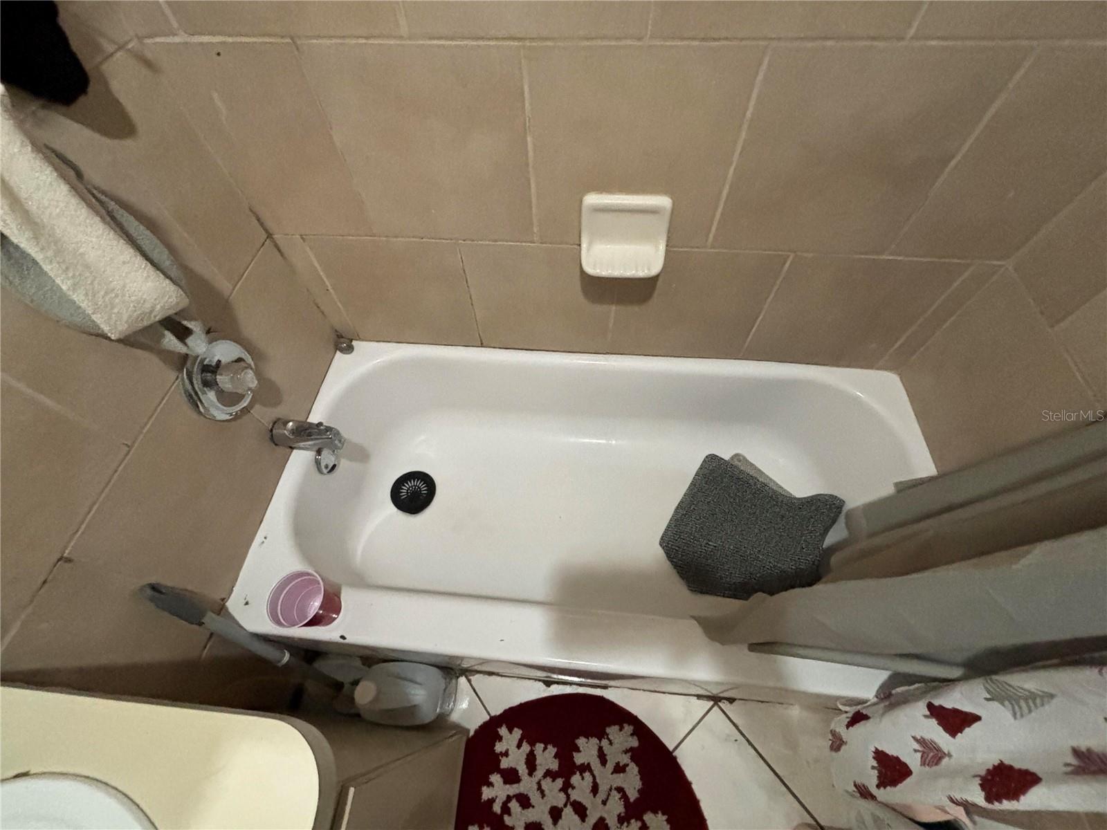 10011 N ANNETTE AVE, TAMPA, FL, 33612