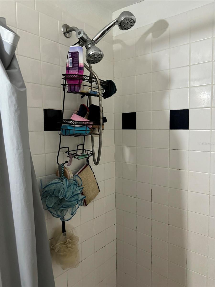 10011 N ANNETTE AVE, TAMPA, FL, 33612