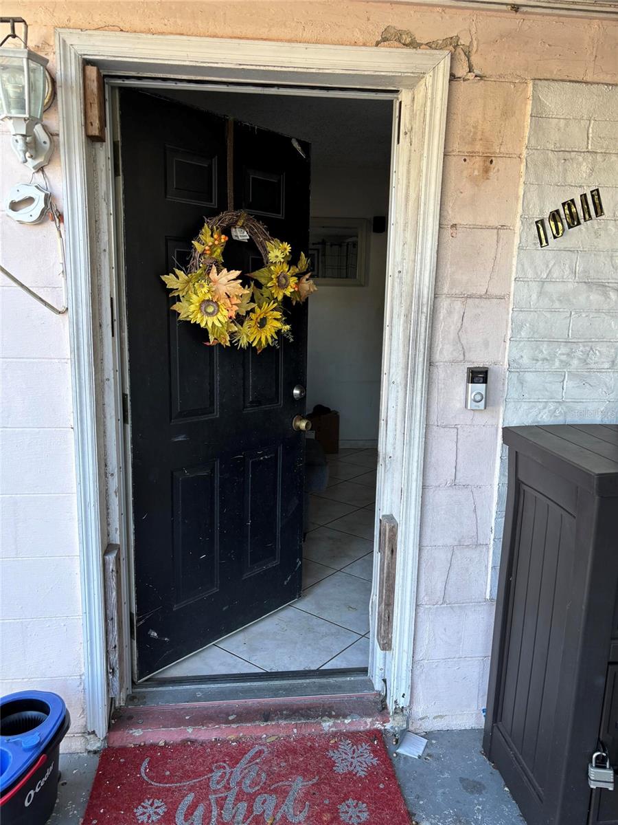 10011 N ANNETTE AVE, TAMPA, FL, 33612